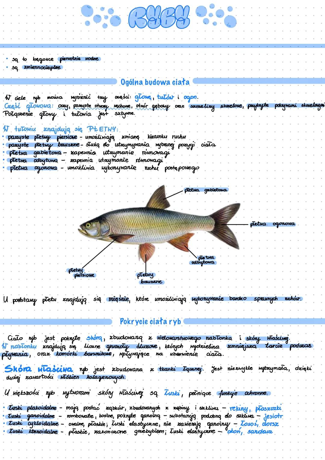 Ryby - żuchwowce pierwotnie wodne