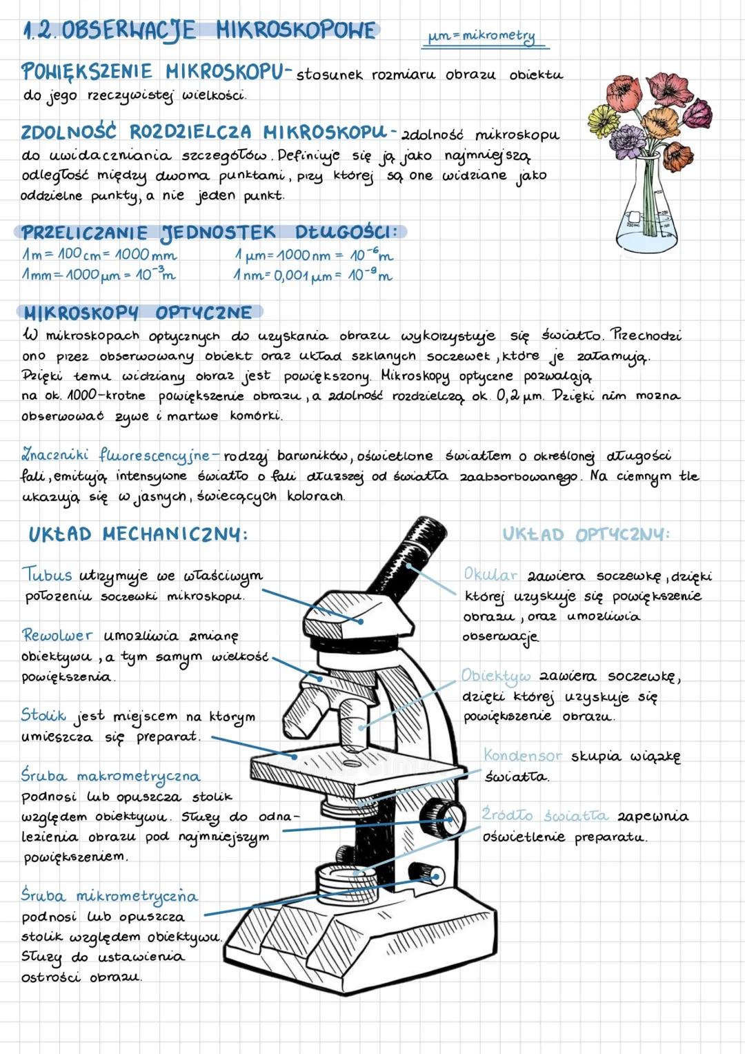 # 1.2. OBSERWACJE MIKROSKOPOWE
um=mikrometry
POHIĘKSZENIE MIKROSKOPU-stosunek rozmiaru obrazu obiektu
do jego rzeczywistej wielkości.
ZDO