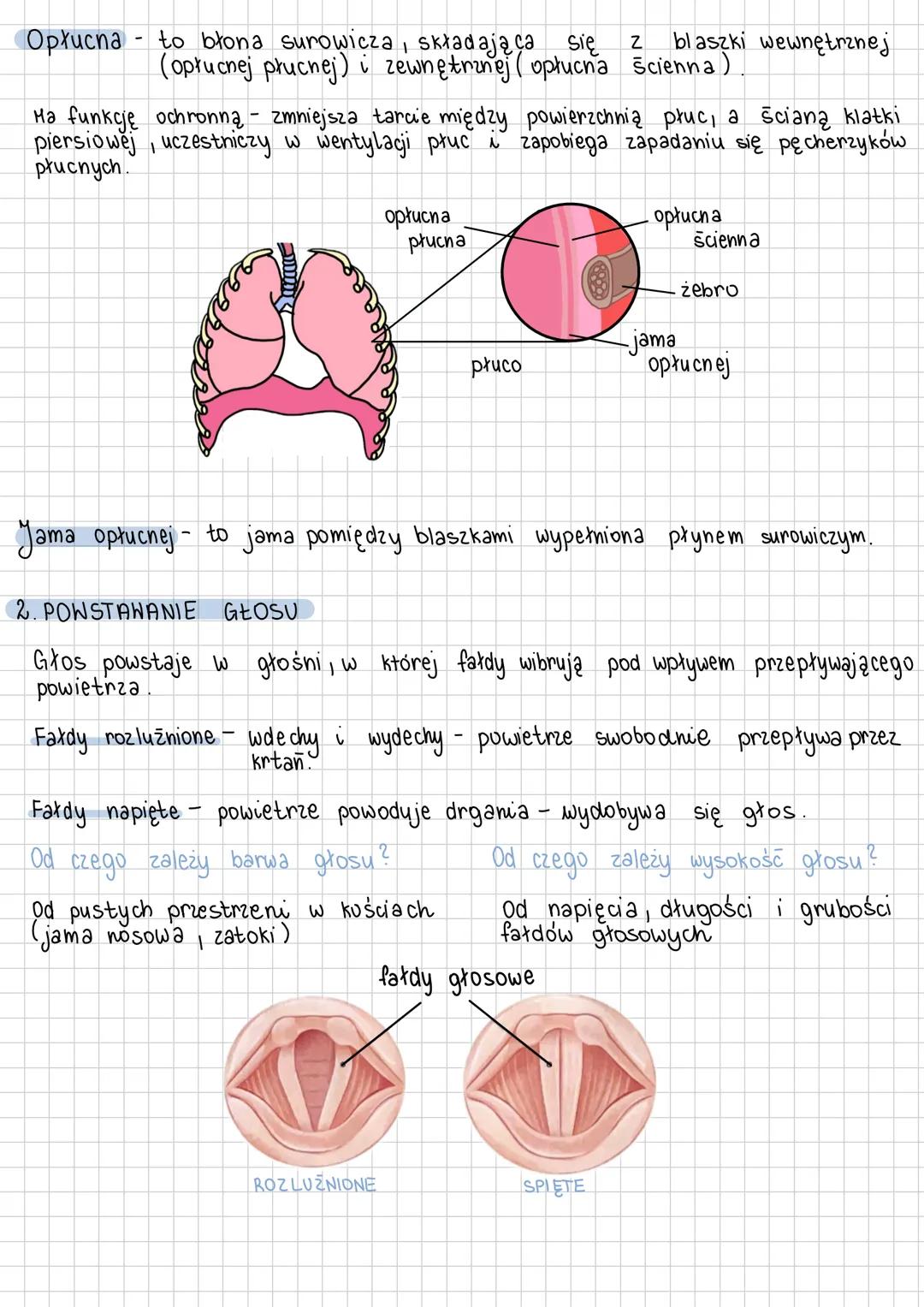 # Uklad oddechowy
ODDYCHANIE-to podstawowy procesadostarczający komórka energię.
W jego trakcie złożone związki organiczne są rozkładane do
