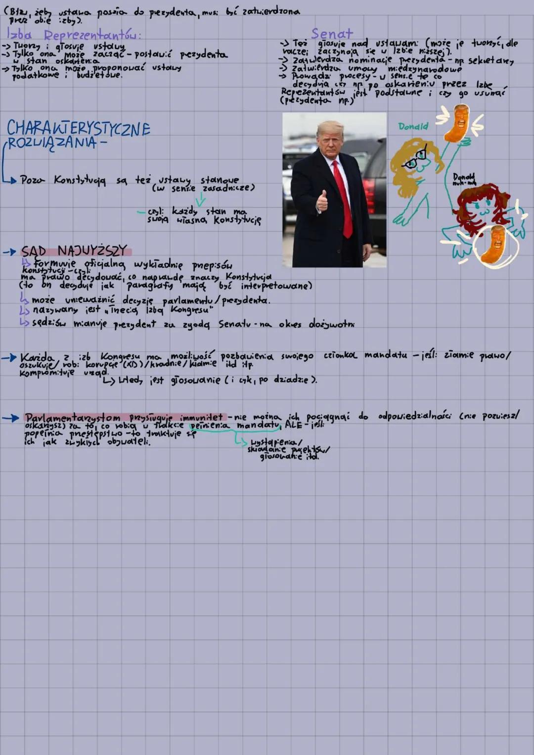 # Systemy polityczne
- system parlamentarno-gabinetowy.
Czjednocrone Królestwo W. Brytanii, i Irlandia Ρύτησινια)
SPECYFIKA, SYSTEMU
dzi