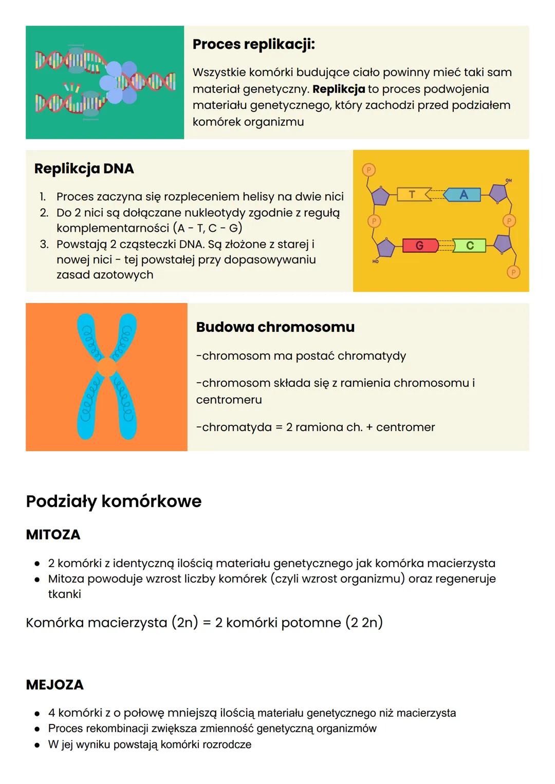 # HENRIELL FOUNDATION
# PODSTAWY
# DZIEDZICZENIA
genetyka
Cechy
dziedziczne
-Długość rzęs
-piegi
-kształt twarzy
-kolor oczu
-kszta