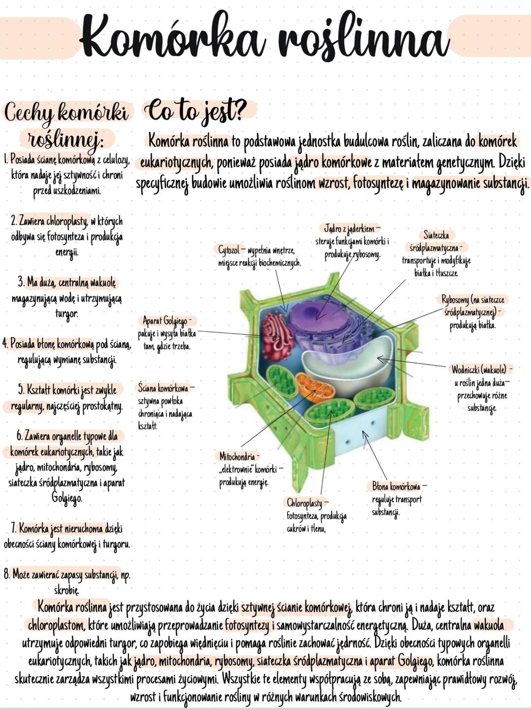 # Komórka zwierzęcа
# Cechy komórki Co to jest?
## zwierzęcej: Komórka zwierzęca to podstawowa jednostka budulcowa ciała zwierząt.
1. Jest