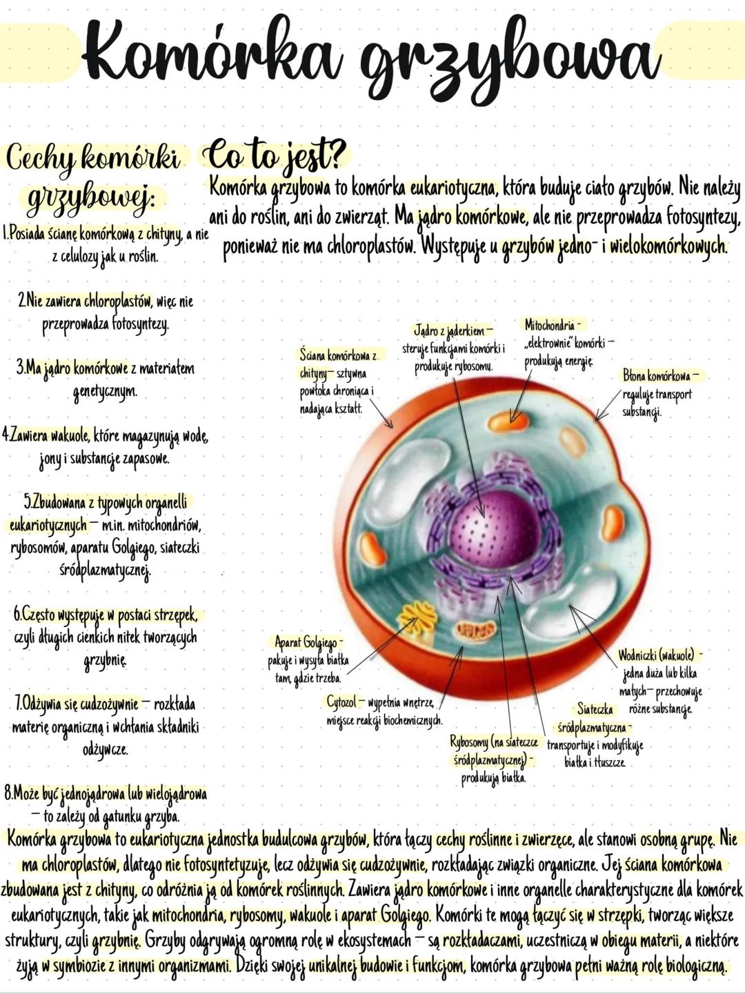 # Komórka zwierzęcа
# Cechy komórki Co to jest?
## zwierzęcej: Komórka zwierzęca to podstawowa jednostka budulcowa ciała zwierząt.
1. Jest