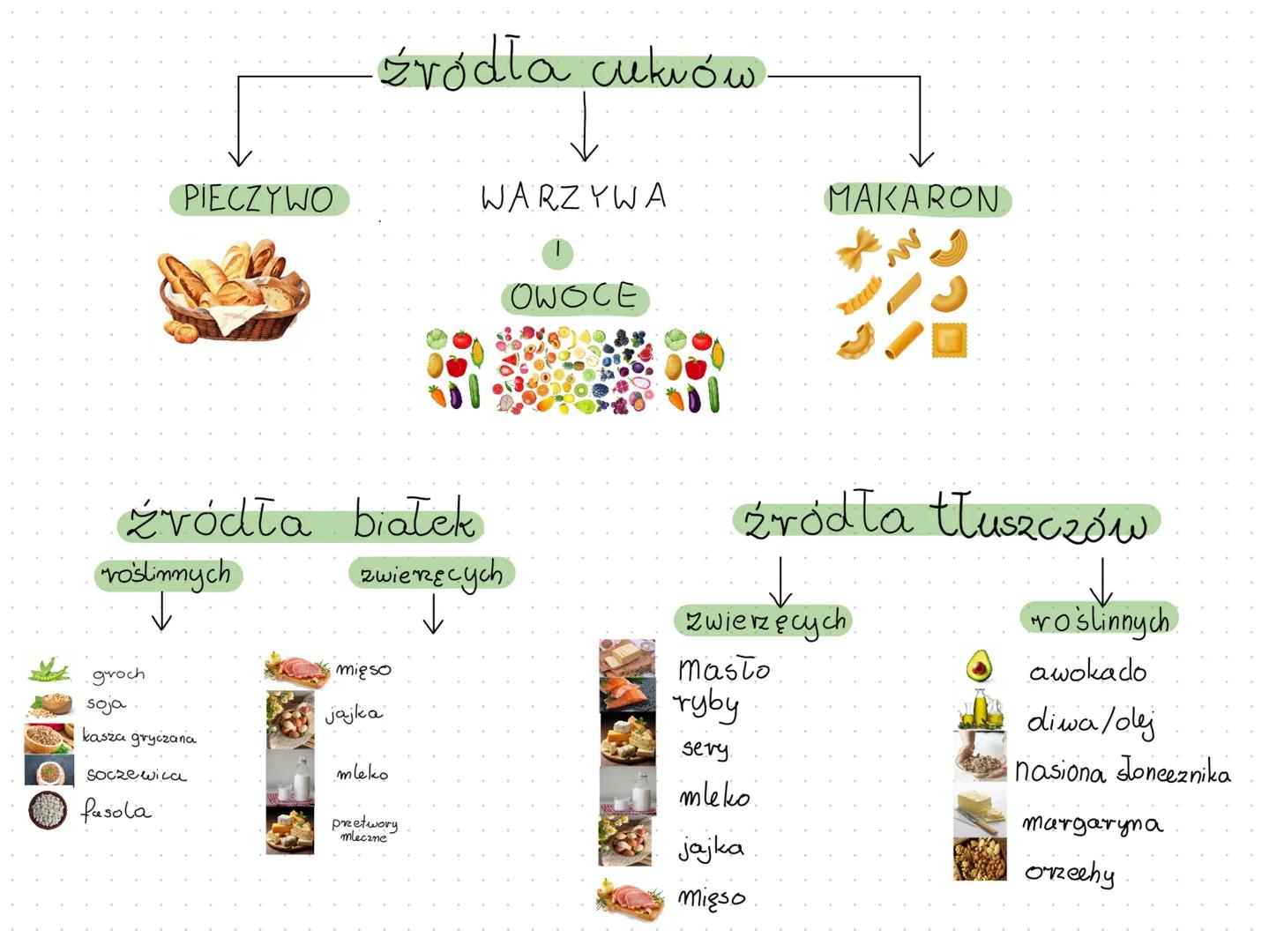 SKŁADNIKI POKARMOWE
białka, cukry i tłuszcze
biologia klasa 7 # SKŁADNIKI POKARMOWE
białka, cukry i tłuszcze
Do prawidłowego funkcjonowani