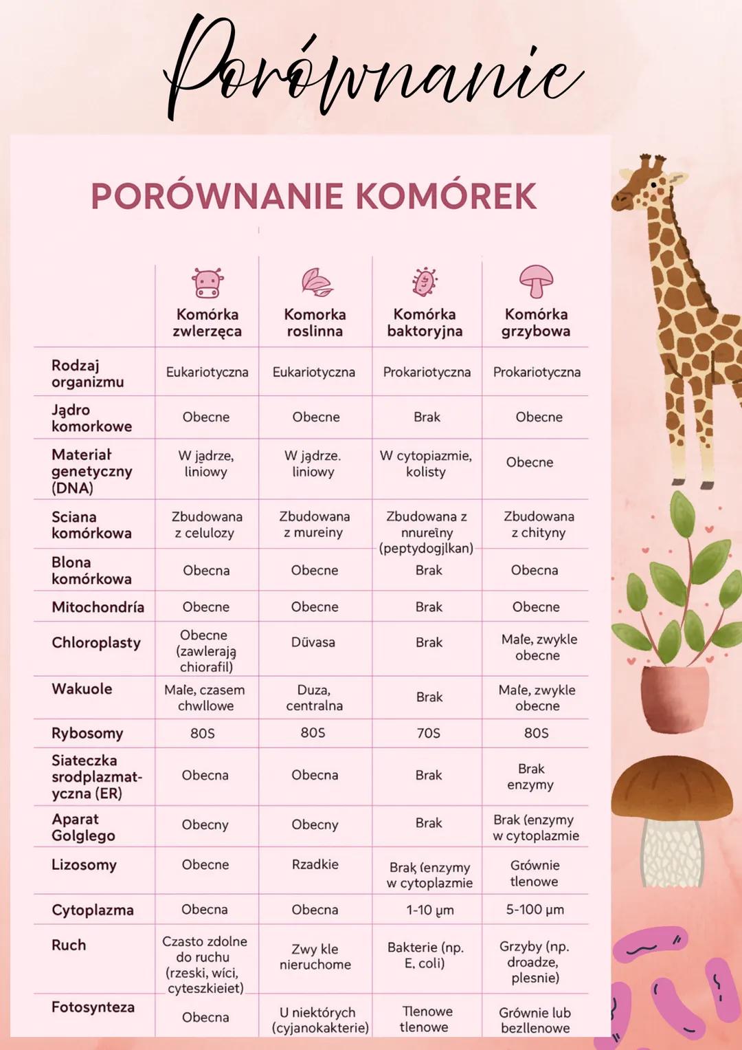 # Biologia
Budowa komórki
zwierzęcej
Jadro komórkowe
Siateczka
śródplazmatyczna
aparat Golgiego
mitochondria
Wodniczka
Błona komórkowa