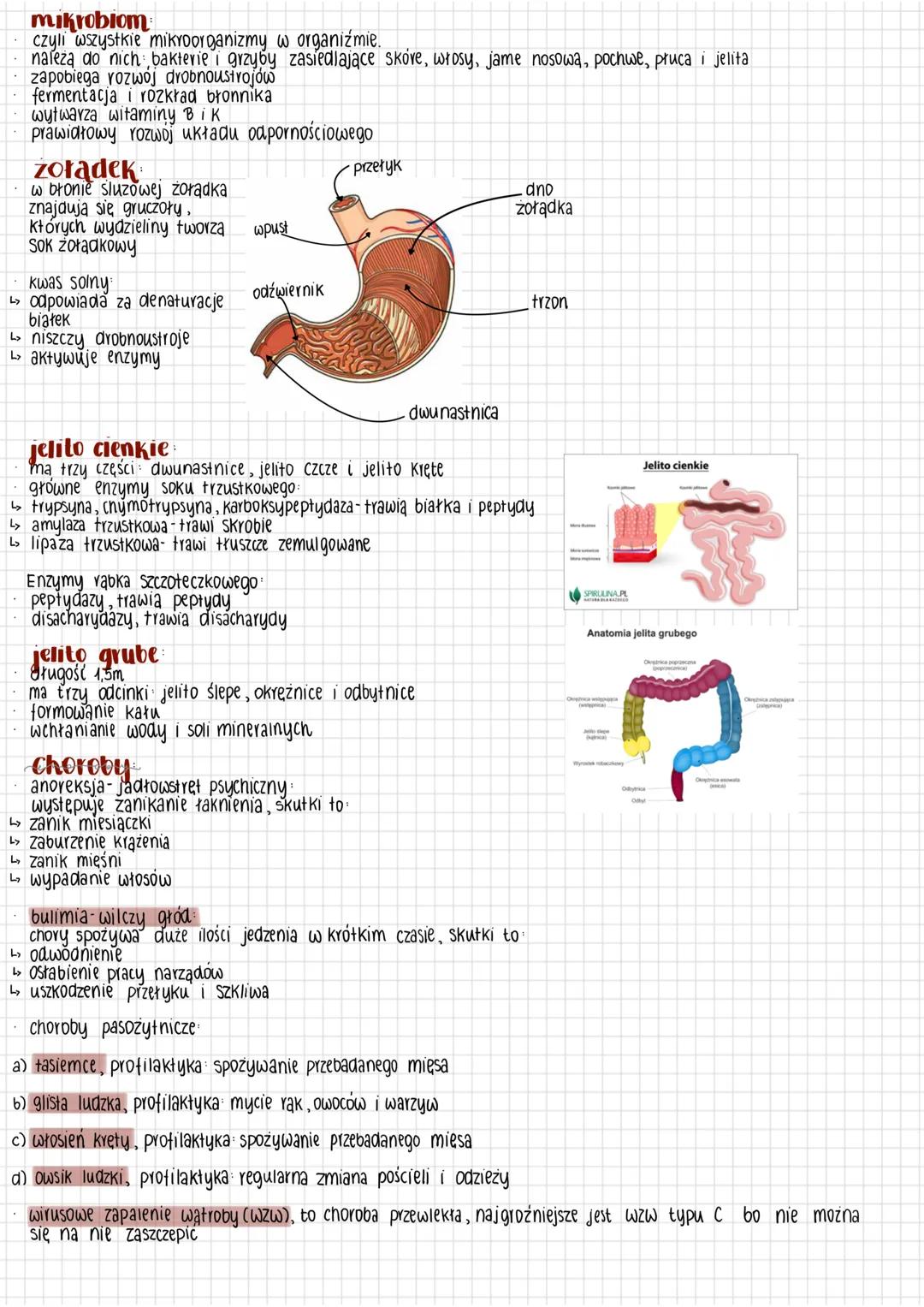 # biologia
Układ pokarmowy przewód pokarmowy
Układ pokarmowy
jama ustna +ślinianki
gardło
przełyk
żołądek gruczoły żołądkowe
trzustka