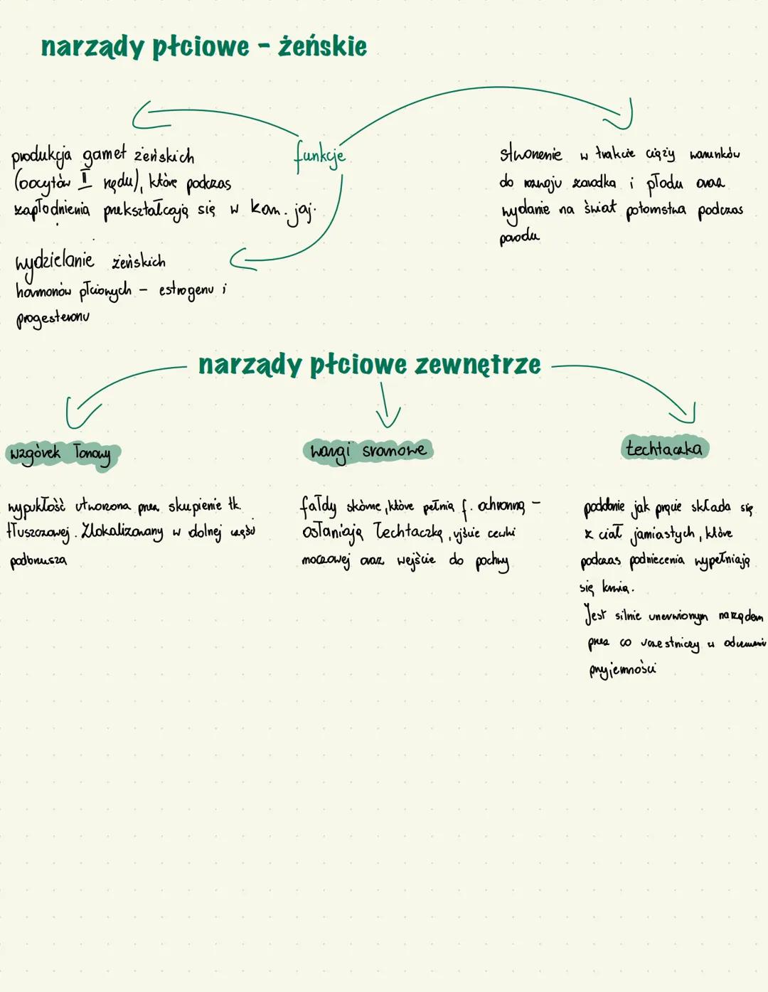 # narządy rozrodcze - męskie
wytharzanie gamet
męskich plemników
hydzielanie męskich
hormonów płcionych np. testosteronu
erekcja
funkcj