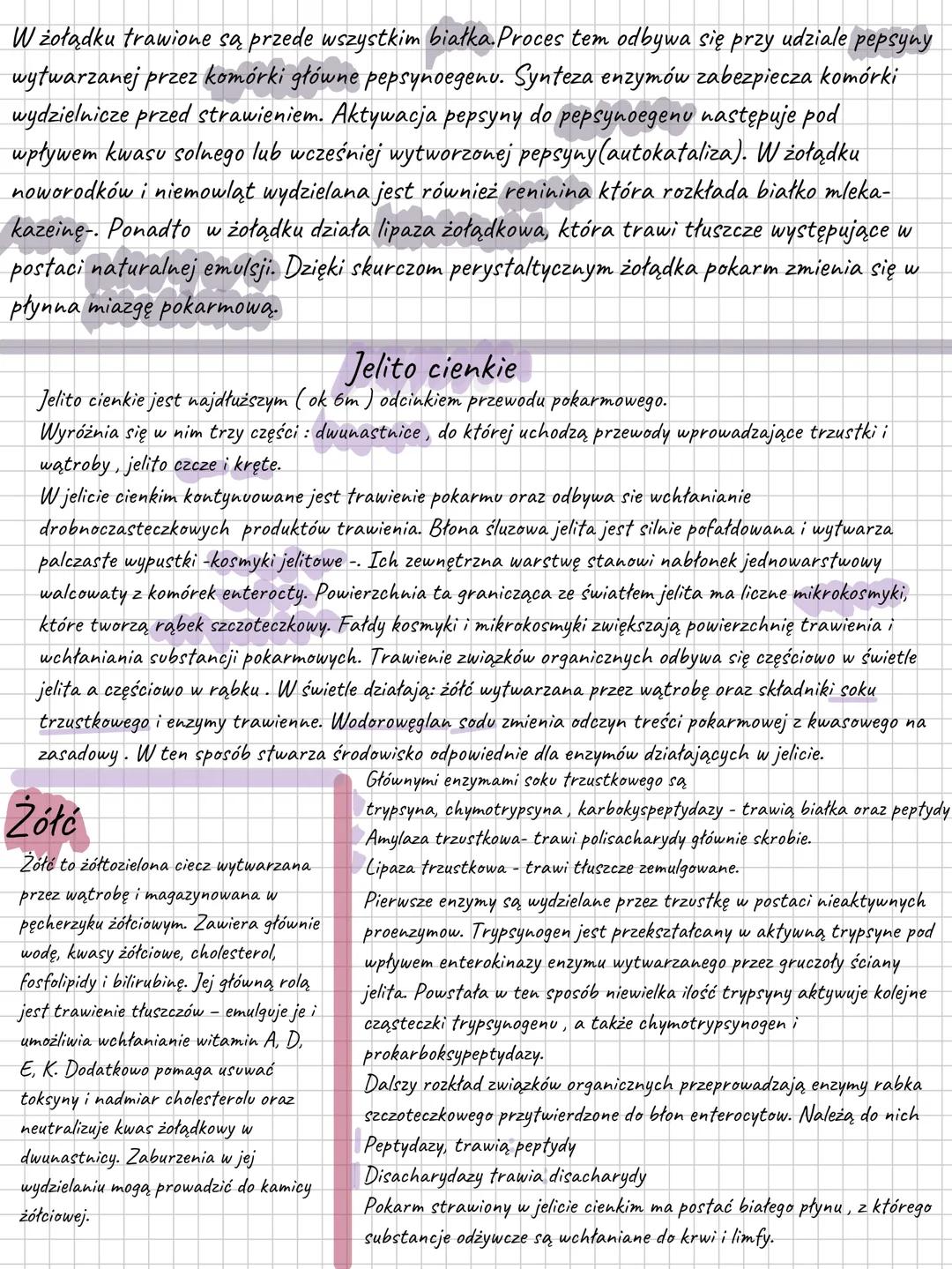 # Budowa i funkcje układu pokarmowego
Układ pokarmowy to zespół narządów, dzięki którym organizm uzyskuje z pożywienia
składniki niezbędne