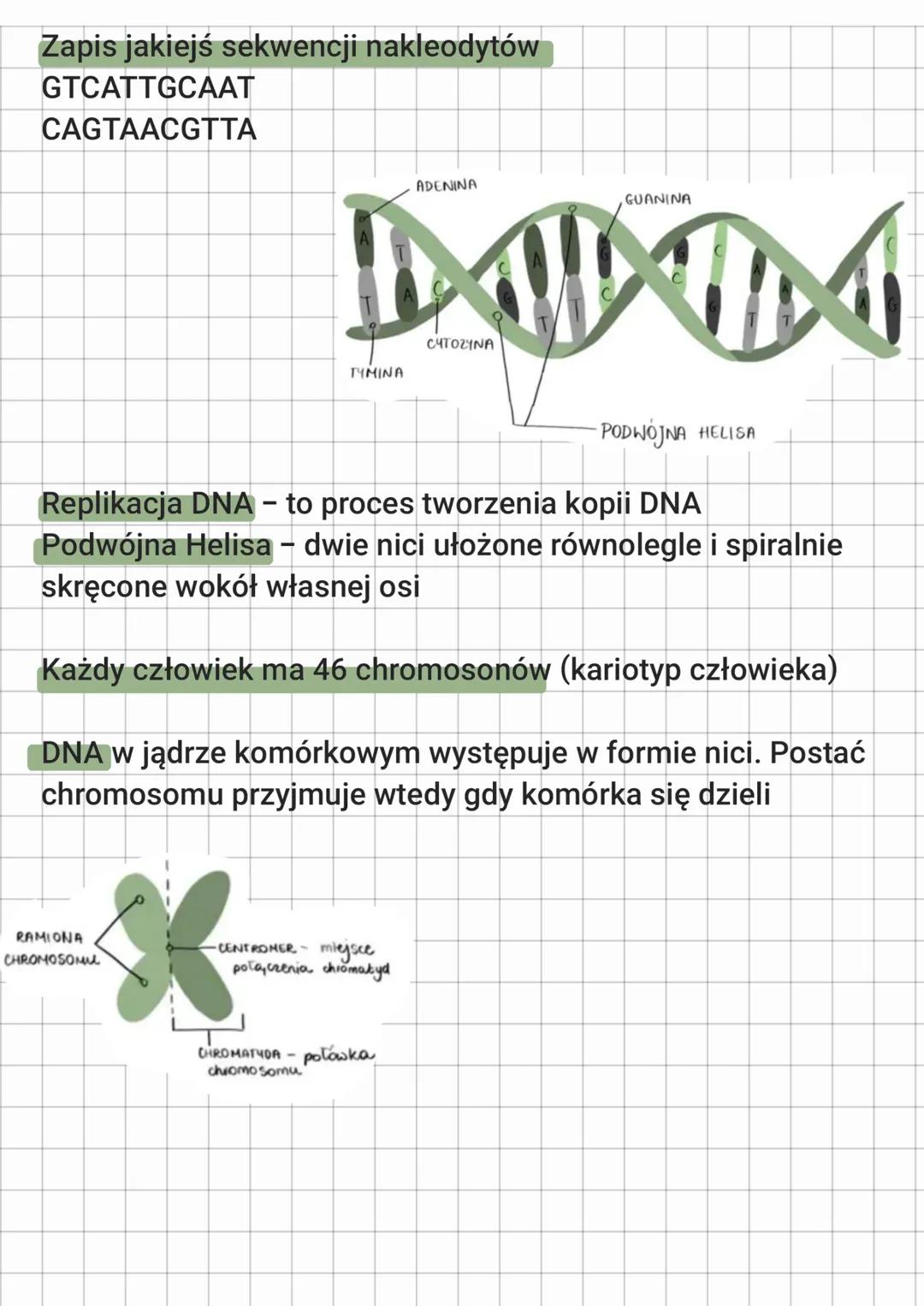 # biologica
genetyka - to nauka o dziedziczności i zmienności
organizmów
dziedziczność - to przekazywanie cech z pokolenia na
pokolenie
zmi