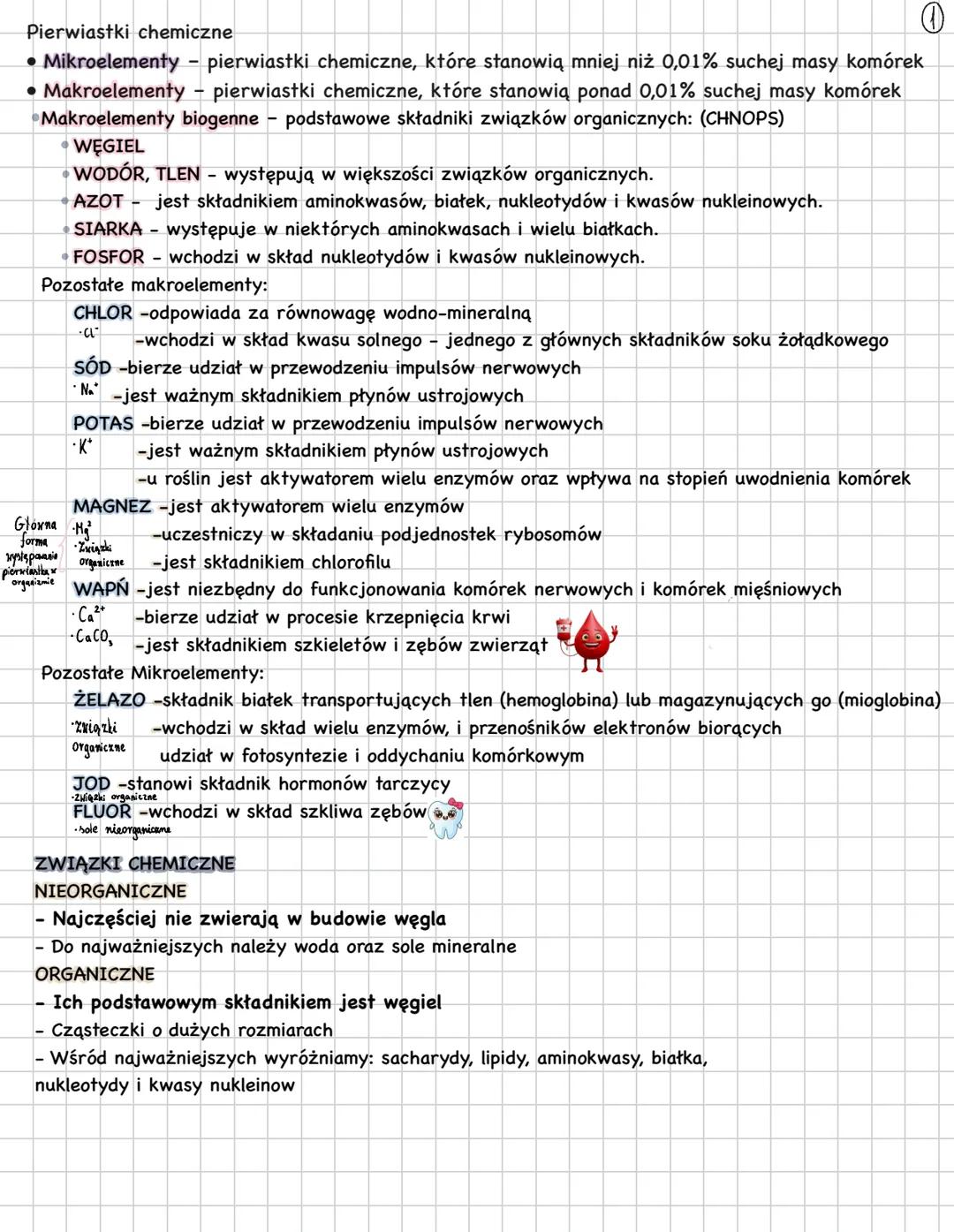 Sacharydy chemizm życia biologia klasa pierwsza