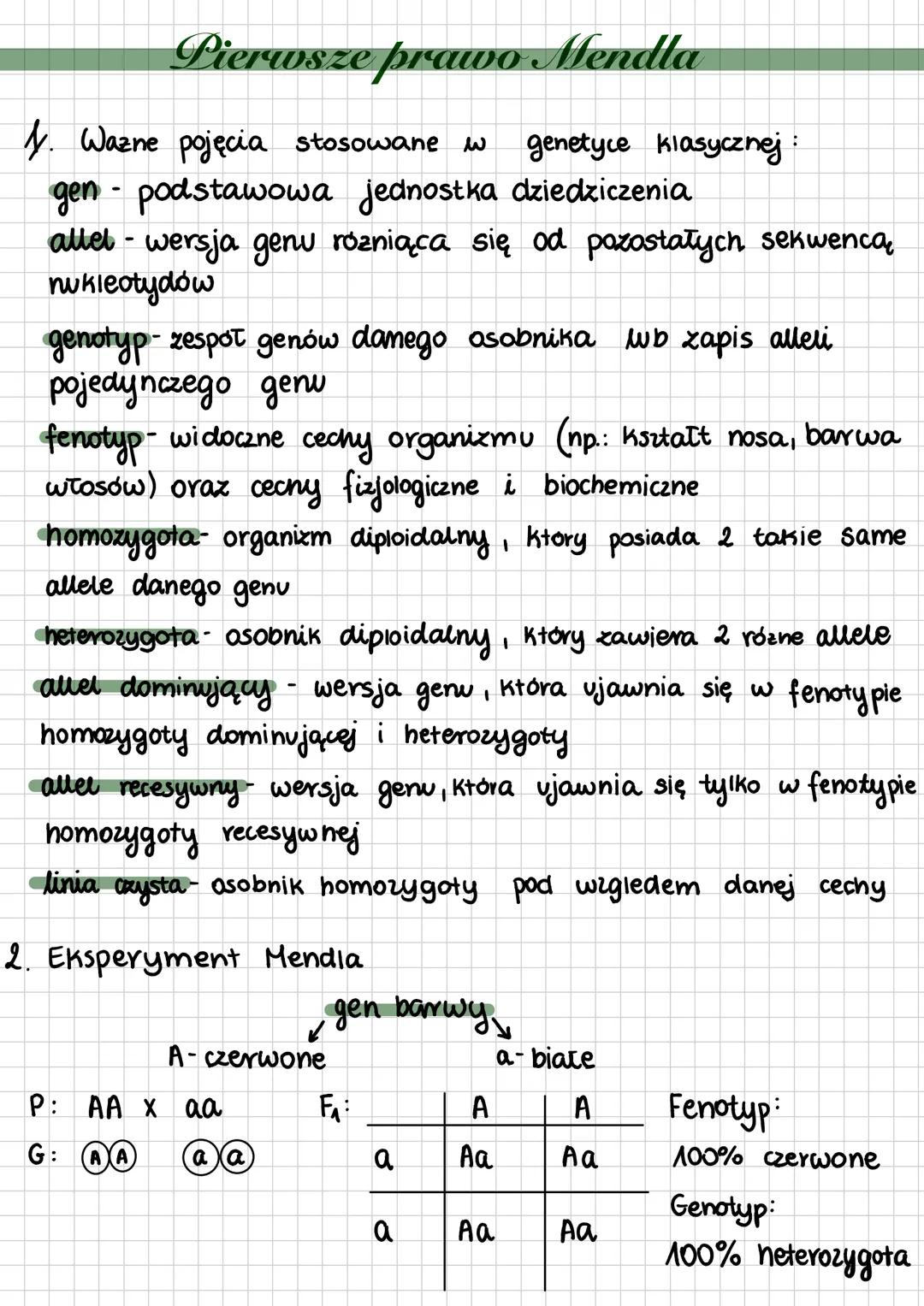 # Pierwsze prawo Mendla
4. Wazne pojęcia stosowane w genetyce klasycznej:
* gen podstawowa jednostka dziedziczenia
* allel - wersja ge