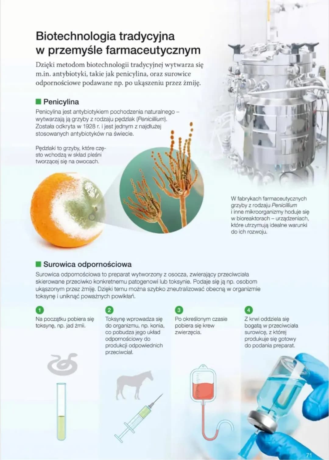 ### 3.1. Biotechnologia tradycyjna
Zwróć
uwagę na:
- definicję biotechnologii,
- podział biotechnologii na biotechnologię tradycyjną i bio