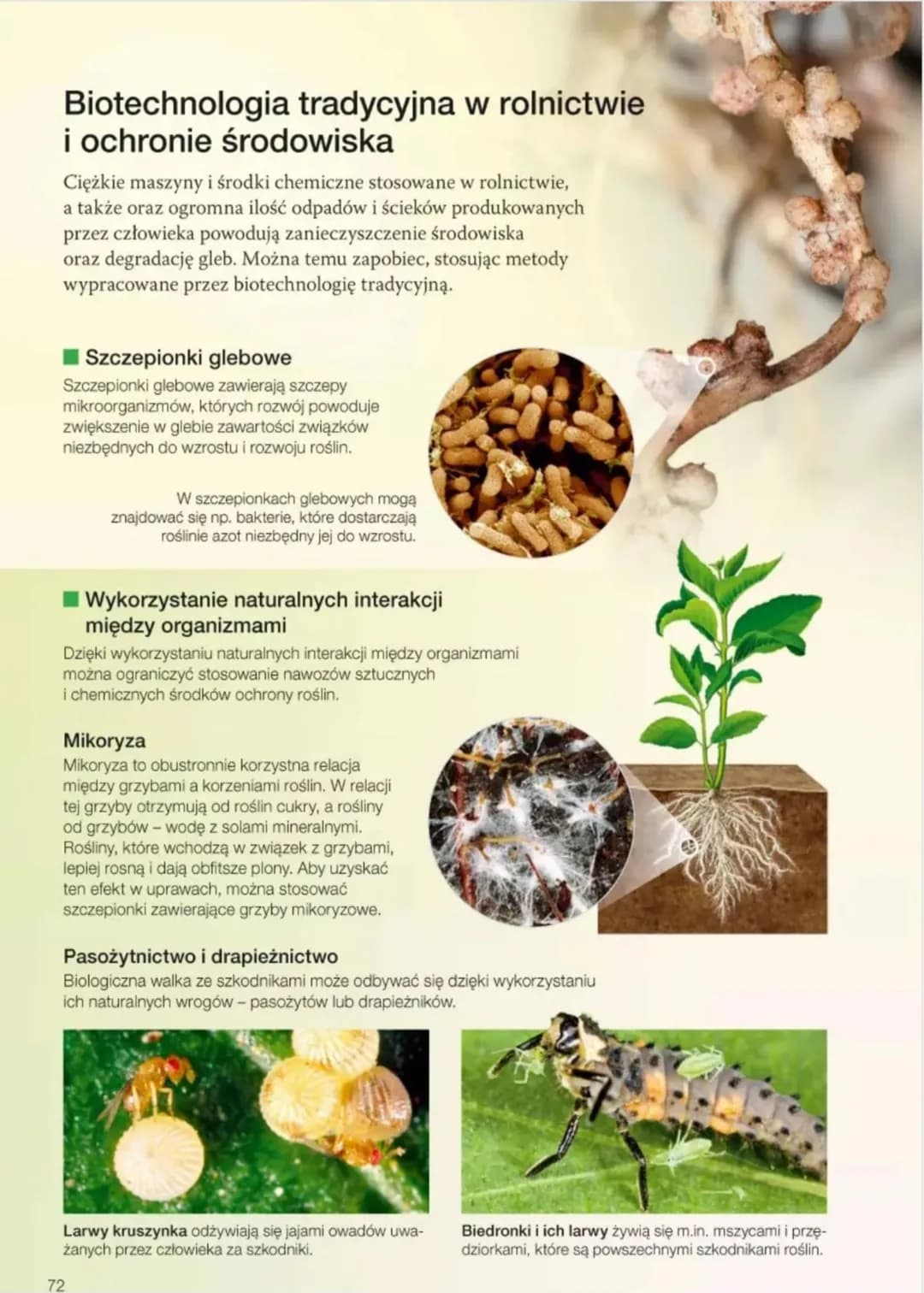 ### 3.1. Biotechnologia tradycyjna
Zwróć
uwagę na:
- definicję biotechnologii,
- podział biotechnologii na biotechnologię tradycyjną i bio
