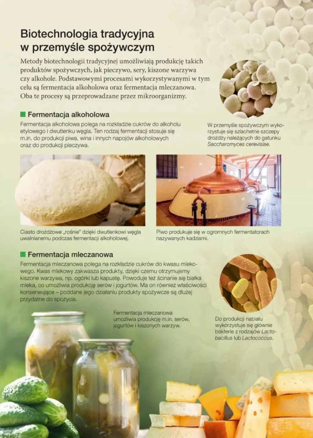 ### 3.1. Biotechnologia tradycyjna
Zwróć
uwagę na:
- definicję biotechnologii,
- podział biotechnologii na biotechnologię tradycyjną i bio