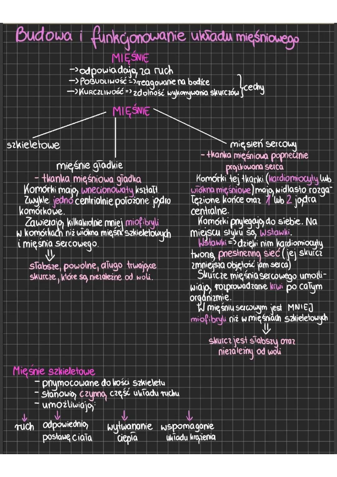 # Budowa i funkcjonowanie układu mięśniowego
MIĘŚNIE
- odpowiadają, za ruch
- >POBUDLIWOŚĆ => reagowanie na bodice
- >KURCZLIWOŚĆ => zdolno