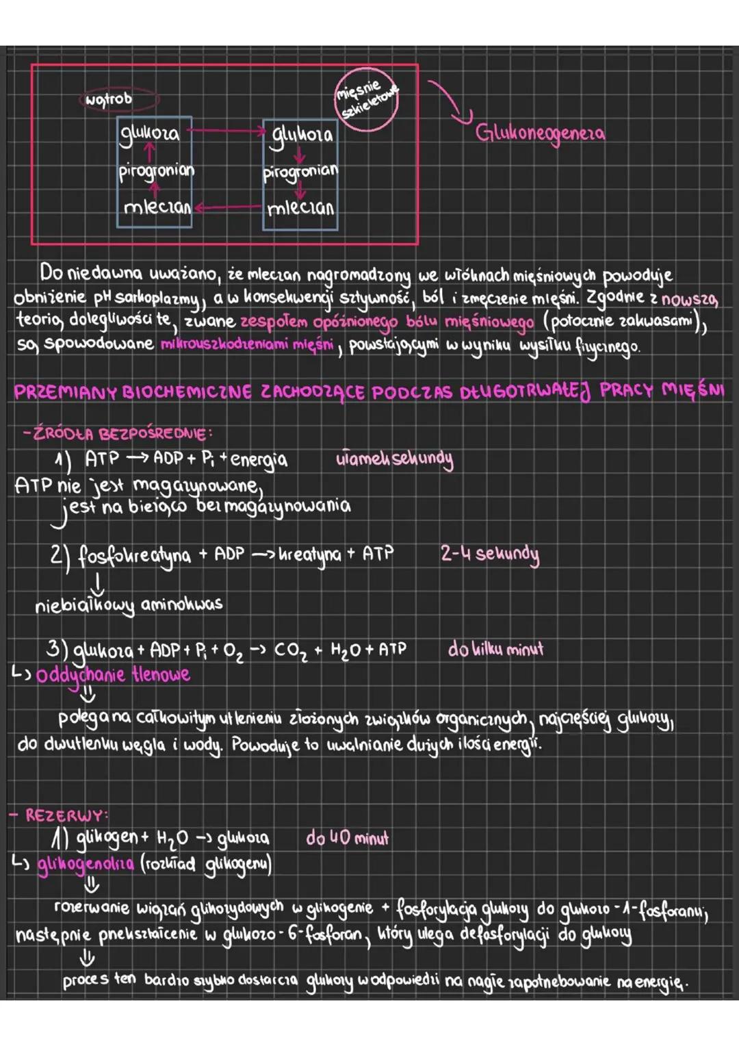# Budowa i funkcjonowanie układu mięśniowego
MIĘŚNIE
- odpowiadają, za ruch
- >POBUDLIWOŚĆ => reagowanie na bodice
- >KURCZLIWOŚĆ => zdolno
