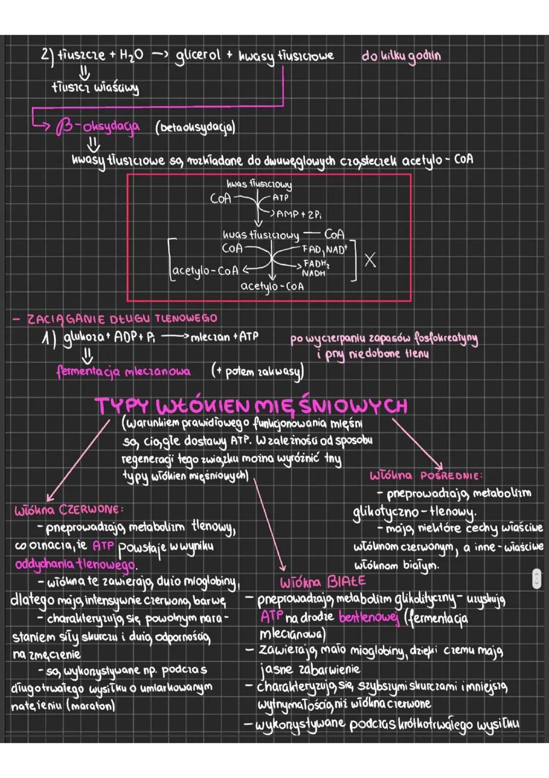 # Budowa i funkcjonowanie układu mięśniowego
MIĘŚNIE
- odpowiadają, za ruch
- >POBUDLIWOŚĆ => reagowanie na bodice
- >KURCZLIWOŚĆ => zdolno