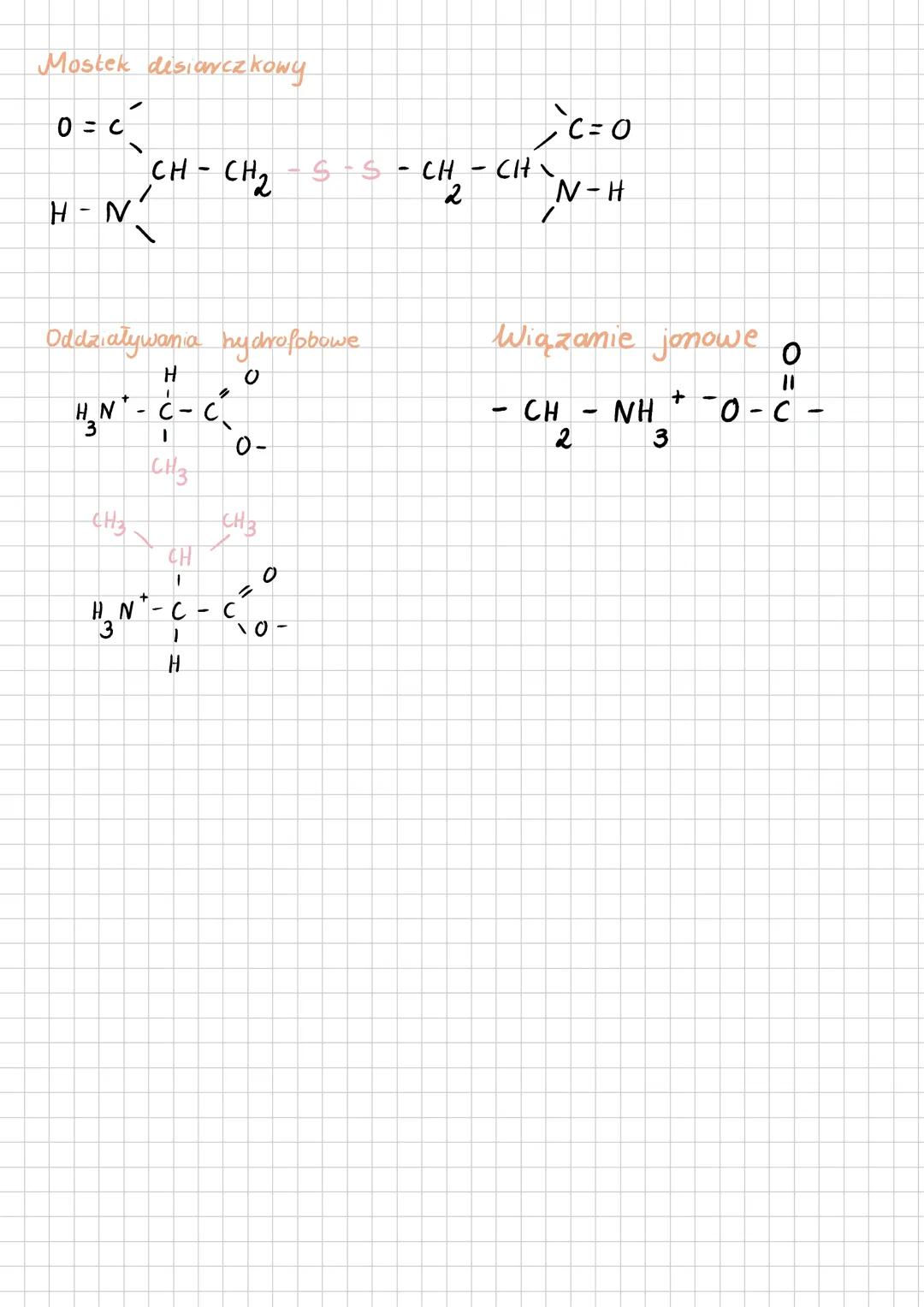 # BIAŁKA
Rodzaje Białek:
1. Białka fibrylarne - np. KOLAGEN
↳ Składa się z kilku Tancuchów polipeptydowych połączonych w długie włókna