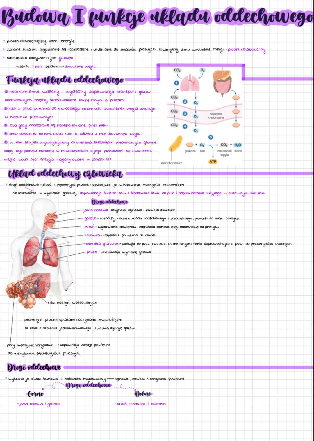 # Budowa I funkcje ukladu oddechowego
* proces dosiorczający kom. energię
* 210sone zwiazki organicine sa roaxtadane i ullenione do zw