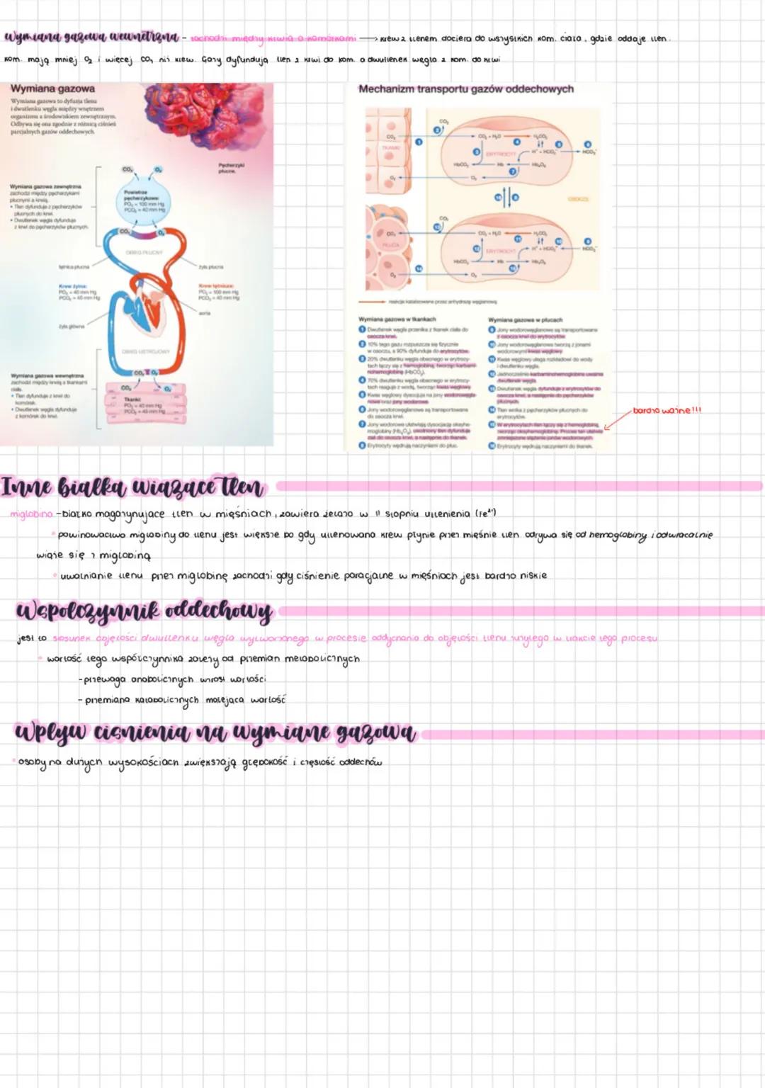 # Wentylacja plic I wymiana gazowa
wentylacja plic
daiata ona daięki:
- prapano - proski mięsień potoiony między jamą molni piersiowej, a