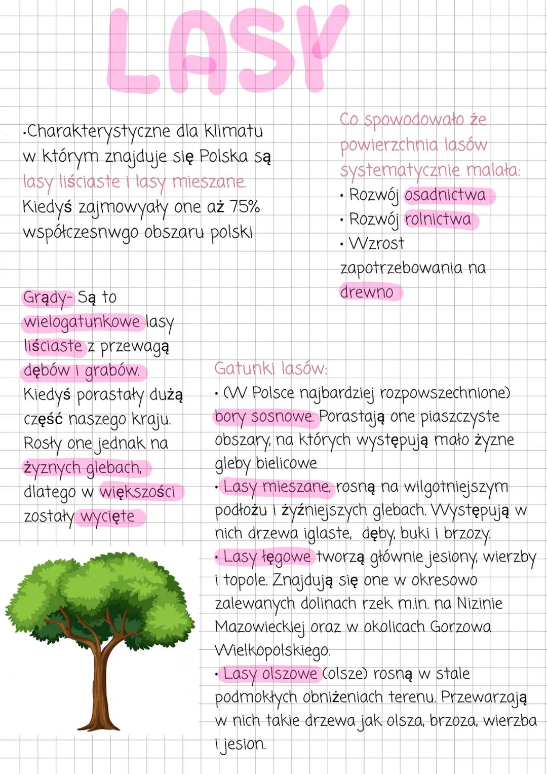 # LASY
•Charakterystyczne dla klimatu
w którym znajduje się Polska są
lasy liściaste i lasy mieszane.
Kiedyś zajmowyały one aż 75%
współcze