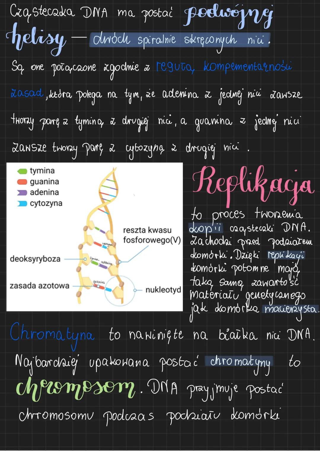 # Biologia Genetyka
Genetyka to nauka zajmująca się, dziedziczeniem
cech i zmiennością, organizmów
Cechy dziedziczne są przeka ayname poto