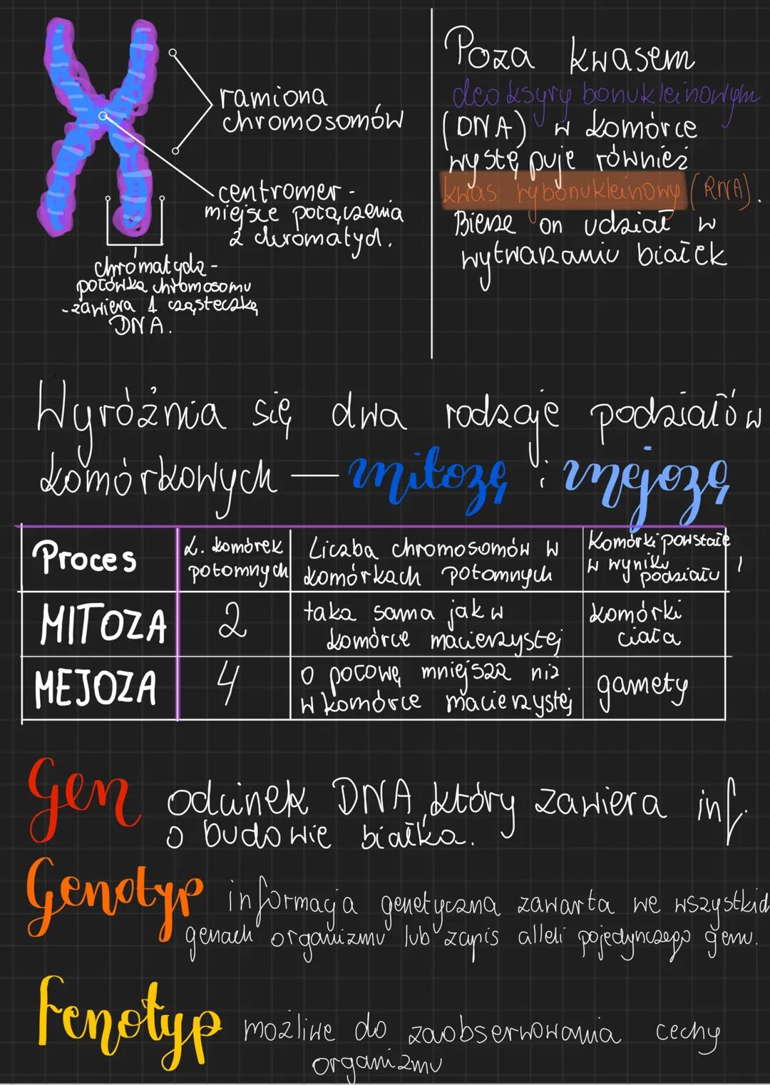 # Biologia Genetyka
Genetyka to nauka zajmująca się, dziedziczeniem
cech i zmiennością, organizmów
Cechy dziedziczne są przeka ayname poto