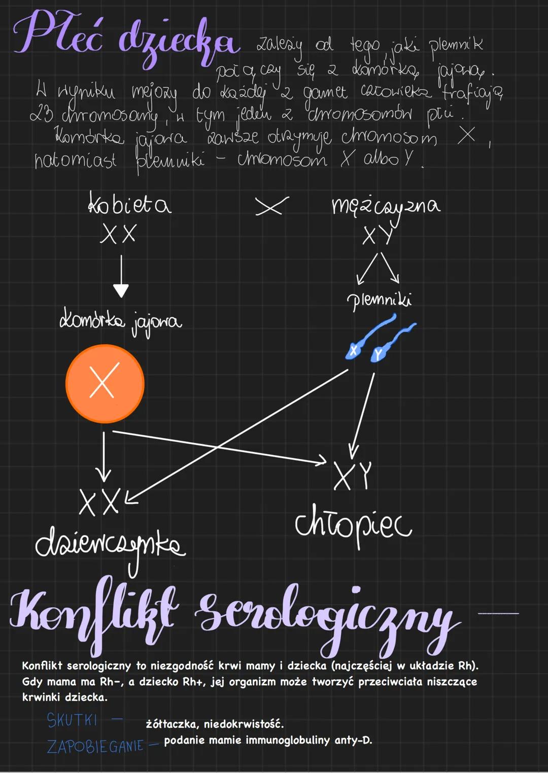 # Biologia Genetyka
Genetyka to nauka zajmująca się, dziedziczeniem
cech i zmiennością, organizmów
Cechy dziedziczne są przeka ayname poto