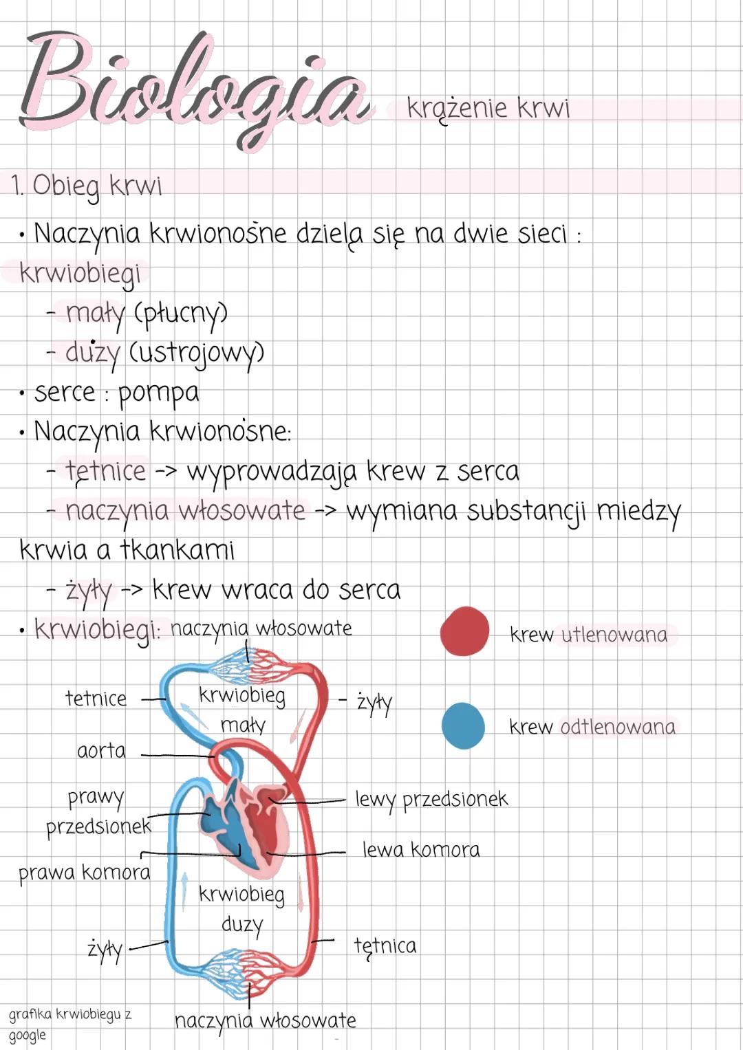 Biologia
1. Obieg krwi
krążenie krwi
• Naczynia krwionośne dziela się na dwie sieci :
krwiobiegi
- maty (płucny)
- duzy (ustrojowy)
• ser