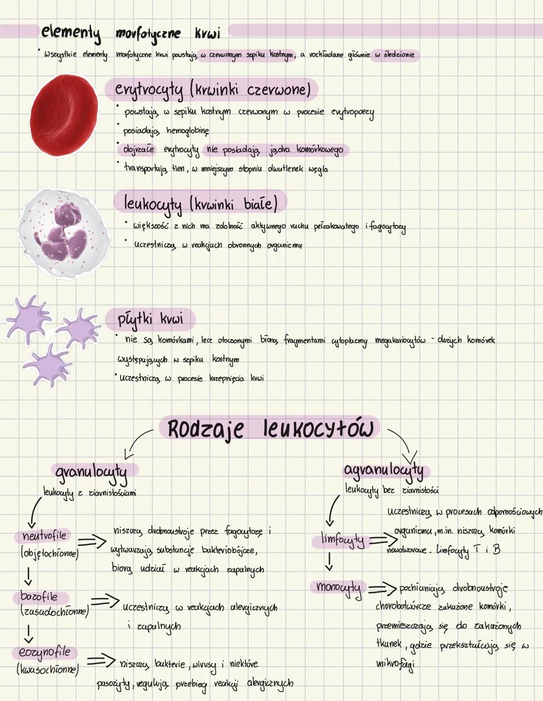 # SKLAD I FUNKCJE KRHI
Charakterystyka krwi
* krew jest thanka, lascenas plynna
* funkcje krwi:
* funkcja transportowa - krew transp