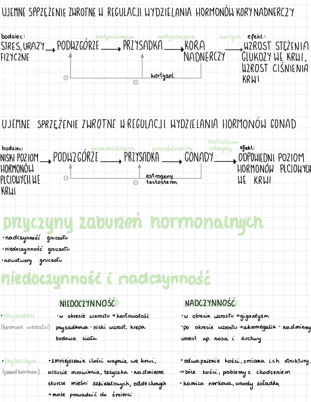 # UKLAD HORMONALNY
• działa za pomoca hormonów, które modyfikuja (stymujuja, lub hamuja) czynności komórek
docelowych
• Składają się grucz