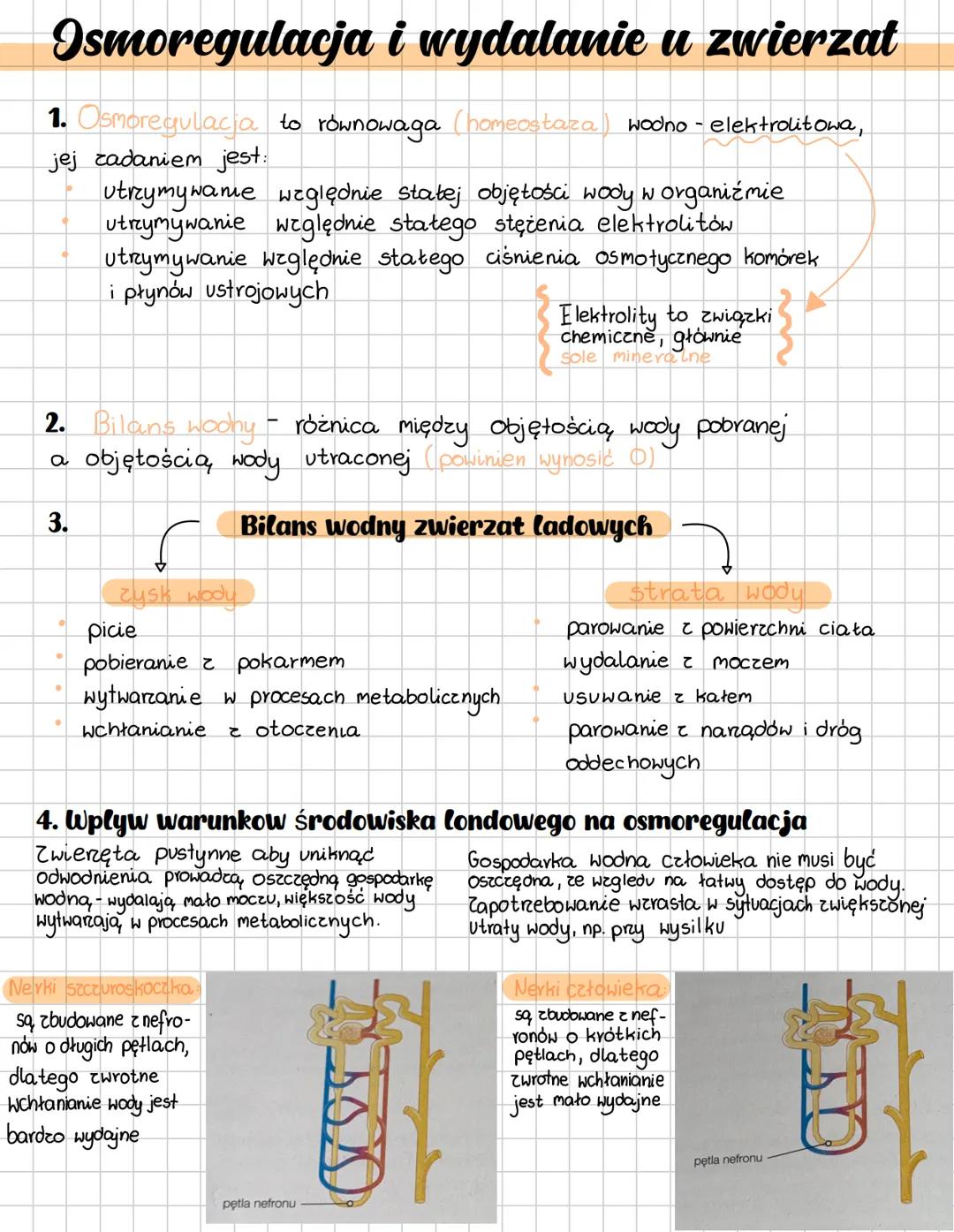 COMPOSITION BOOK
100 Sheets 200 Pages
9% x 7½ in/ 24.7 х 19.0 см # Osmoregulacja i wydalanie u zwierzat
1. Osmoregulacja to równowaga (ho