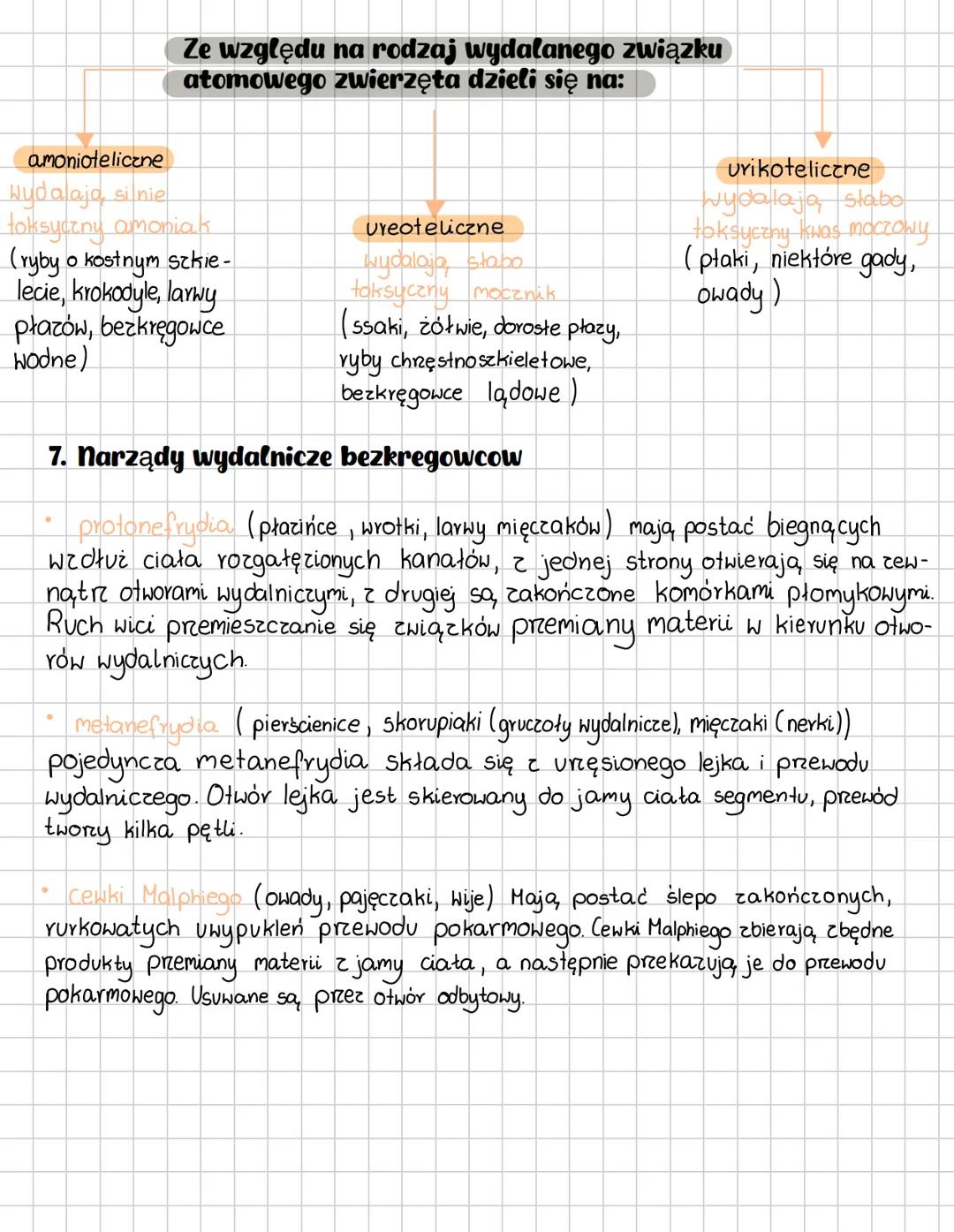 COMPOSITION BOOK
100 Sheets 200 Pages
9% x 7½ in/ 24.7 х 19.0 см # Osmoregulacja i wydalanie u zwierzat
1. Osmoregulacja to równowaga (ho