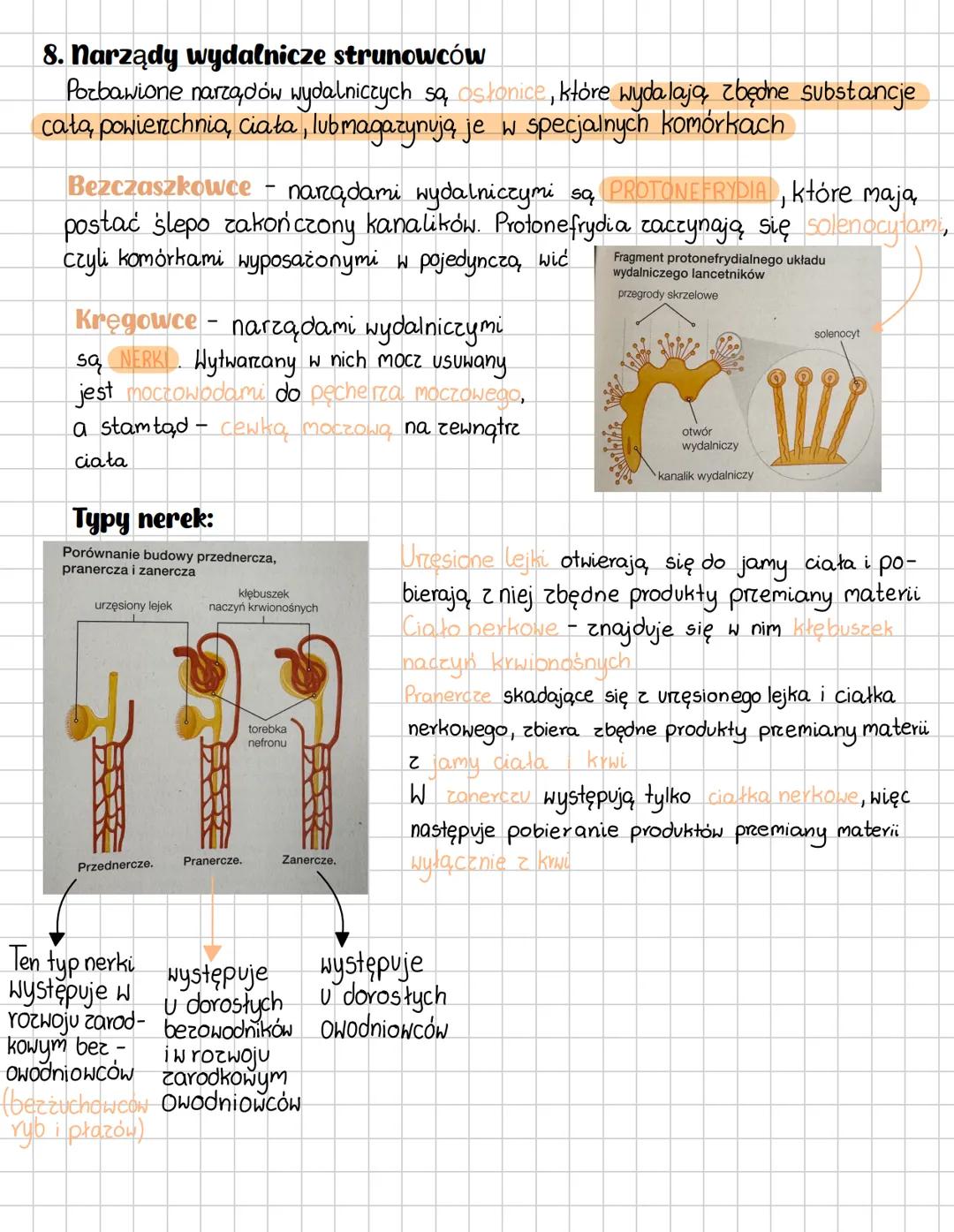 COMPOSITION BOOK
100 Sheets 200 Pages
9% x 7½ in/ 24.7 х 19.0 см # Osmoregulacja i wydalanie u zwierzat
1. Osmoregulacja to równowaga (ho