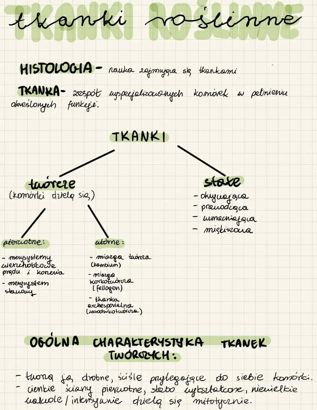 <h2>Merystemy pierwotne i wtórne</h2>
<p>Merystemy pierwotne i wtórne są esencjonalne w procesie wzrostu roślin. Merystemy pierwotne odpowi