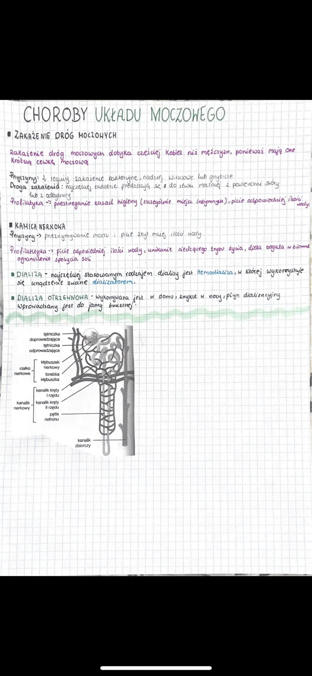 # BIOLOGIA
## UKŁAD MOCZOWY
### 1. BUDOWA UKŁADU MOCZOWEGO
Funkcje układu moczowego:
* Wydalanie - usuwanie zbędnych i szkodliwych produktów