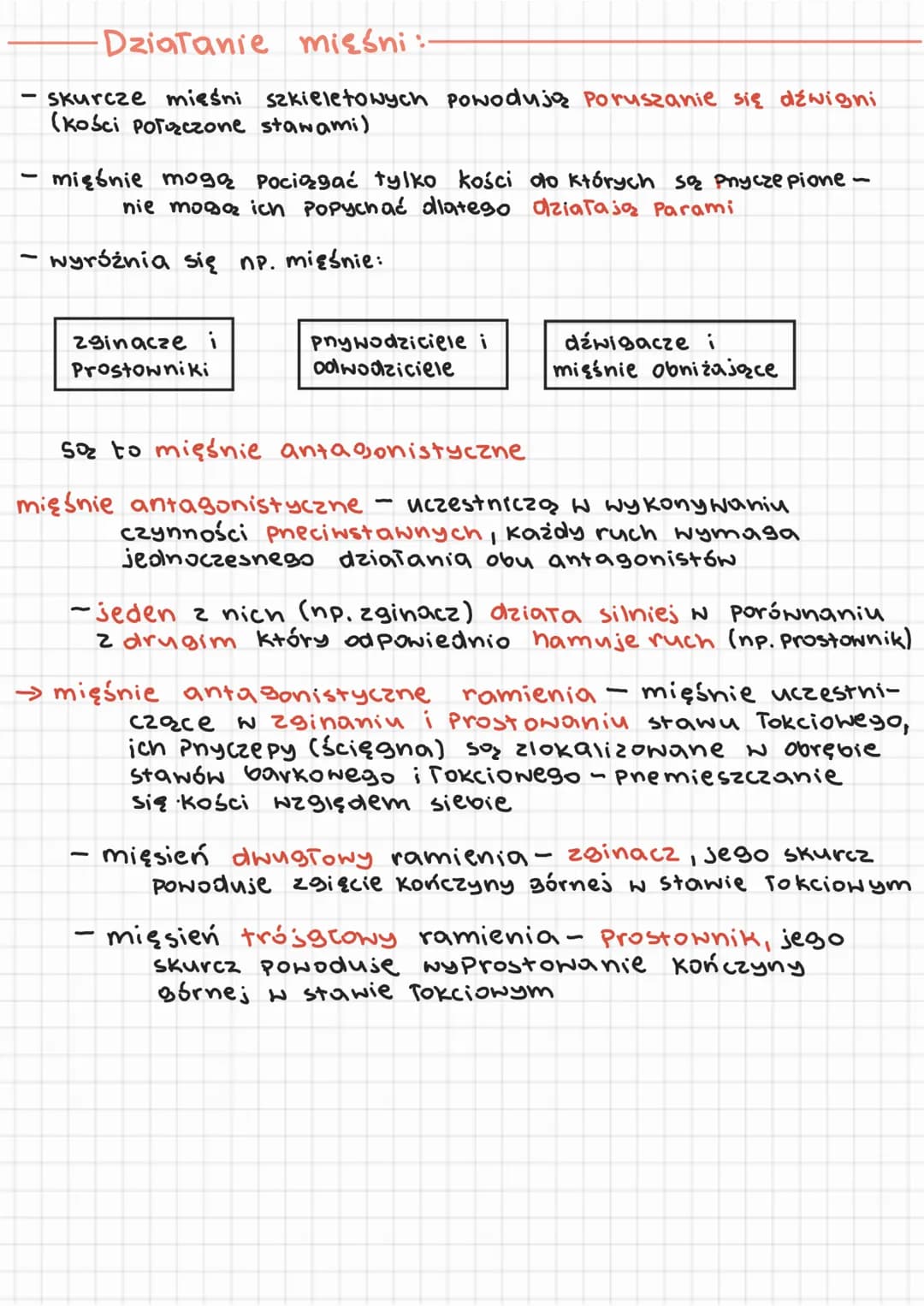 3. aktyna Tzczy się z miozyną
4. ADPi Pi odłączają się od głowy miozyny
Wy Notuje to wiostowy ruch cząsteczki miozyny
ta zginąjąc się Pociz
