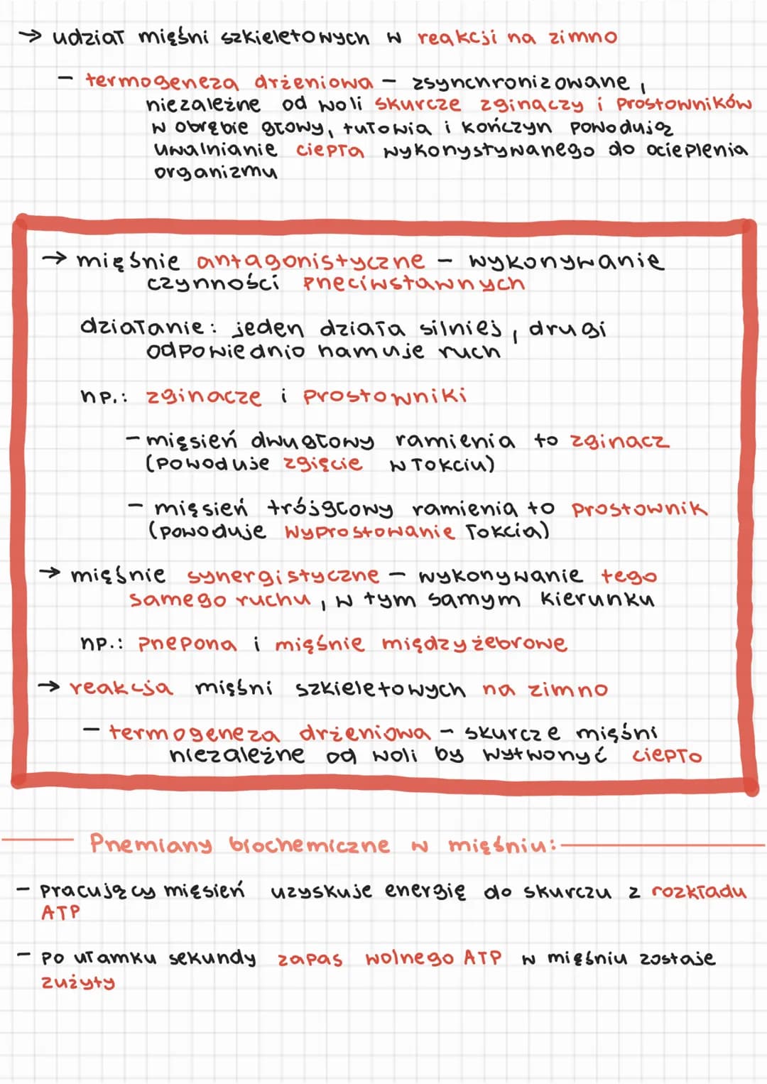 3. aktyna Tzczy się z miozyną
4. ADPi Pi odłączają się od głowy miozyny
Wy Notuje to wiostowy ruch cząsteczki miozyny
ta zginąjąc się Pociz