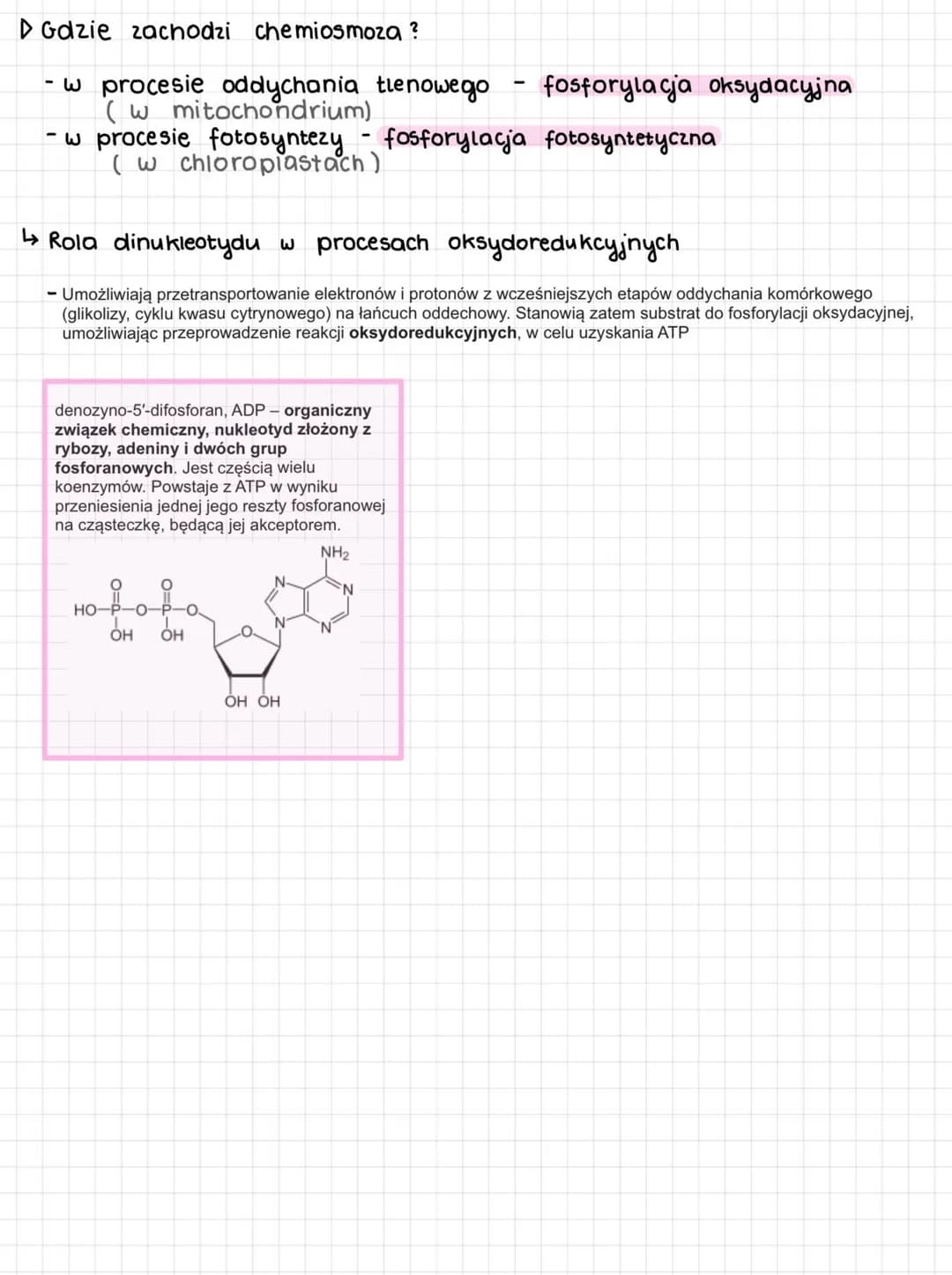 # Mechanizmy fosforylacji ADP
Fosforylacja przyłączenie reszty fosforanowej (v) do ADP
## Sposób 1: FOSFORYLACJA SUBSTRATOWA
odłączenie
P
+