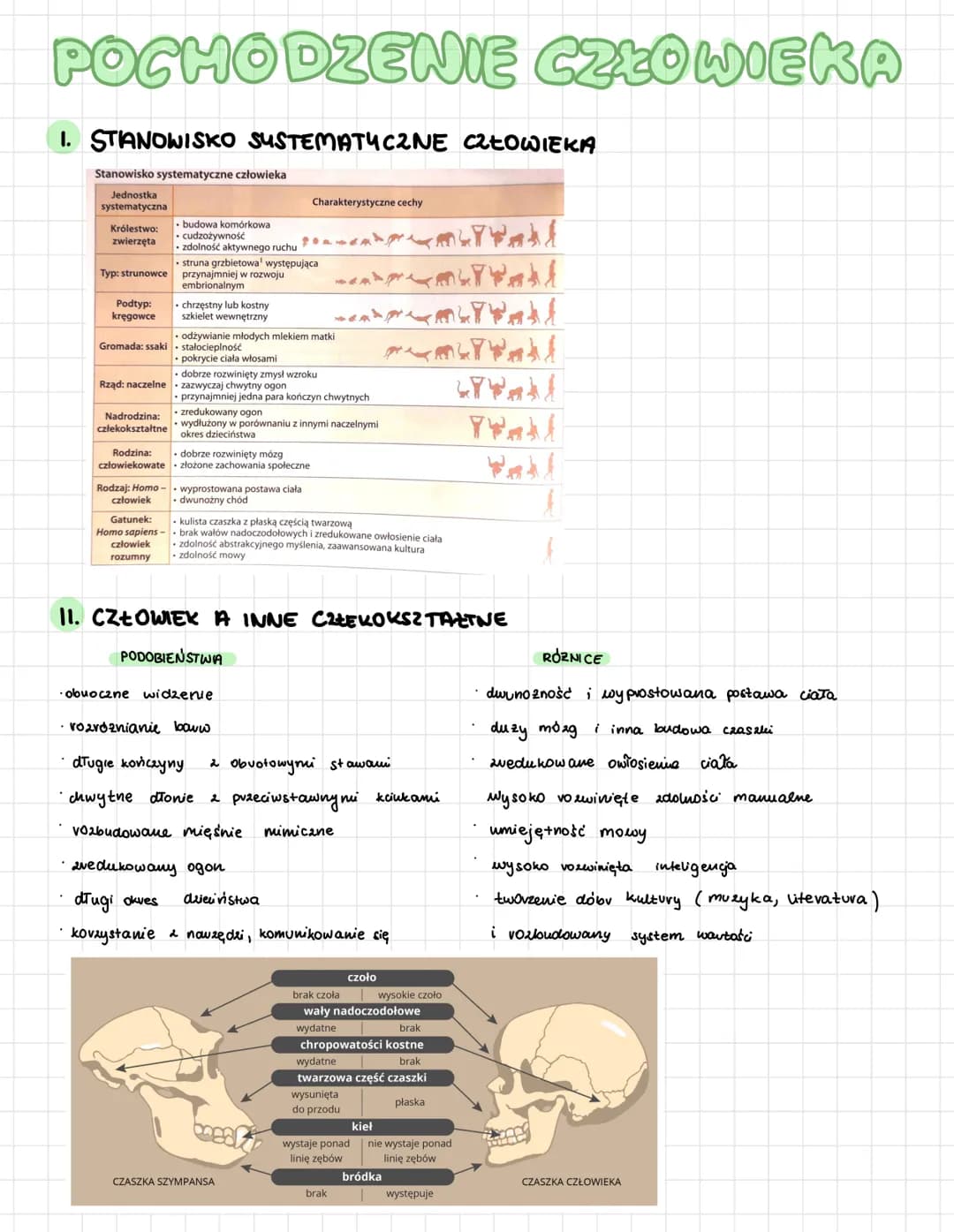 # POCHODZENIE CZŁOWIEKA
## I. STANOWISKO SUSTEMATYCZNE CZŁOWIEKA
Stanowisko systematyczne człowieka
| Jednostka systematyczna | Charakter