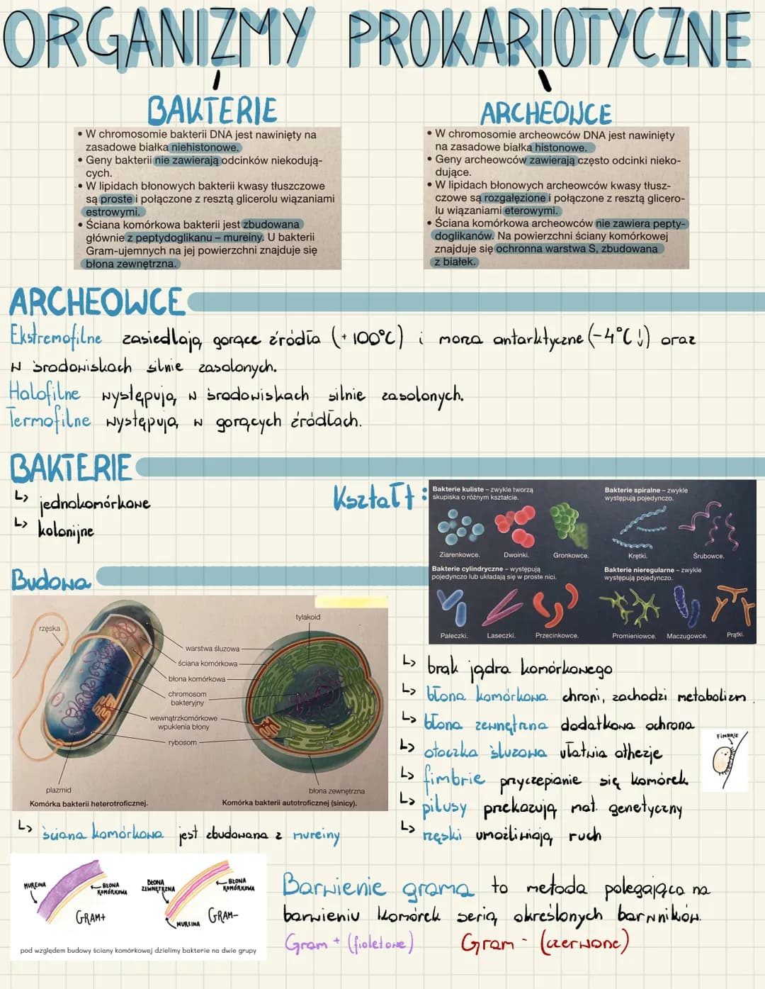 # ORGANIZMY PROKARIOTYCZNE
## BAKTERIE
* W chromosomie bakterii DNA jest nawinięty na zasadowe białka niehistonowe.
* Geny bakterii nie zaw