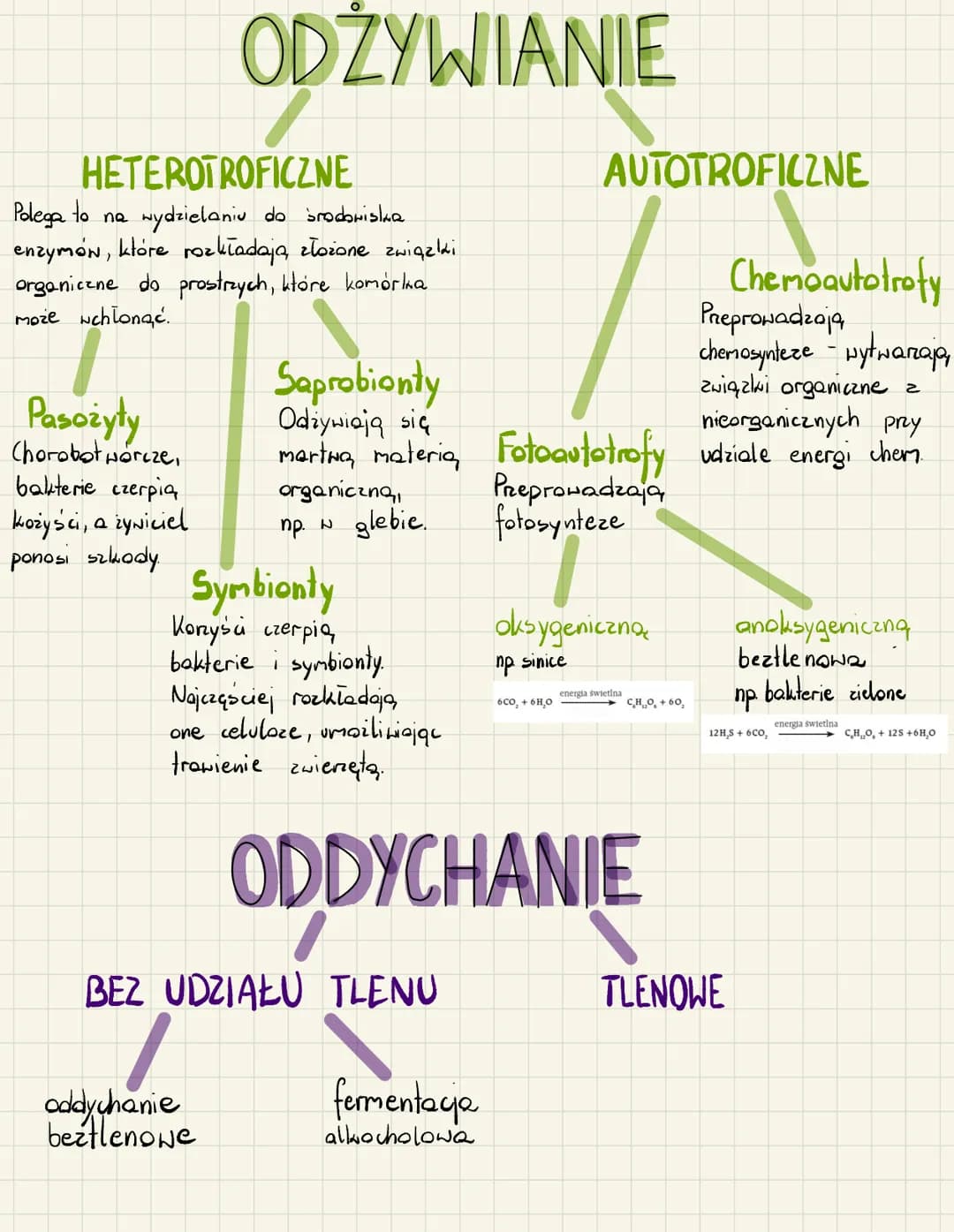 # ORGANIZMY PROKARIOTYCZNE
## BAKTERIE
* W chromosomie bakterii DNA jest nawinięty na zasadowe białka niehistonowe.
* Geny bakterii nie zaw