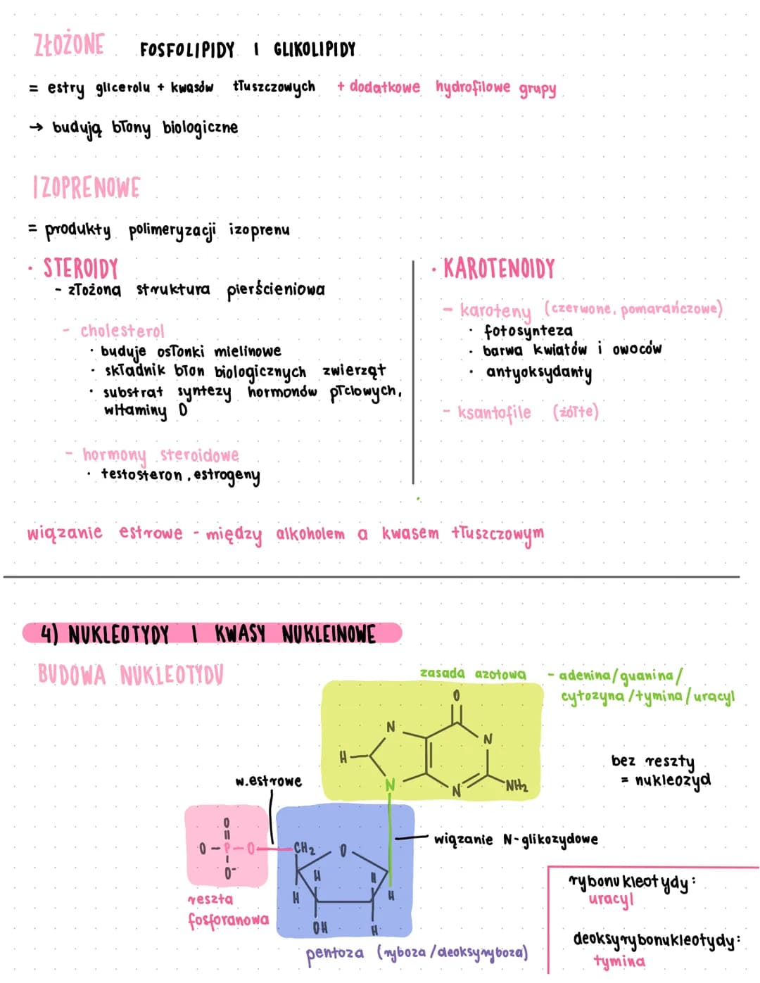 dwupierścieniowe puryny: guanina i adenina
jednopierścieniowe pinymidyny: cytozyna, tymina, uracyl
# KWASY NUKLEINOWE
## DNA
- → nośnik in