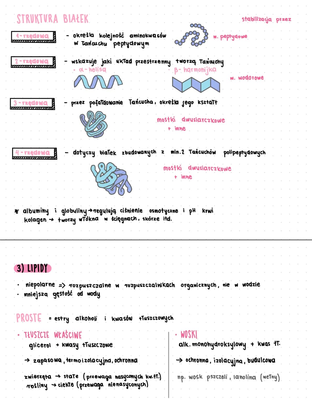 dwupierścieniowe puryny: guanina i adenina
jednopierścieniowe pinymidyny: cytozyna, tymina, uracyl
# KWASY NUKLEINOWE
## DNA
- → nośnik in