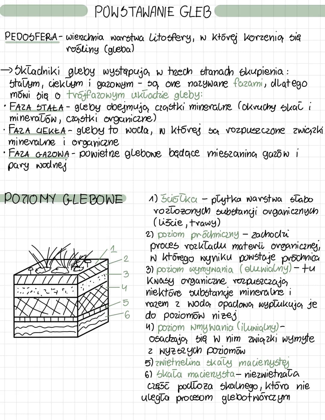 # POWSTAWANIE GLEB
PEDOSFERA - wierzchnia warstwa Litosfery, w której korzenią się rośliny (gleba)
→ Składniki gleby występują w trzech stan