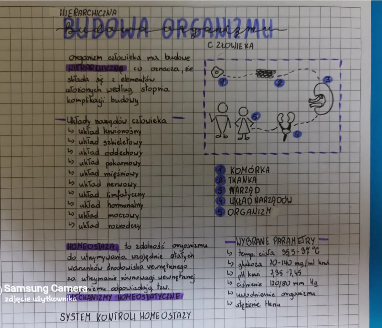 # HIERARCHICZNA BUDOWA ORGANIZMU
Organizm człowieka ma budowę HIERARCHICZNĄ, co oznacza, że składa się z elementów ułożonych według stopnia