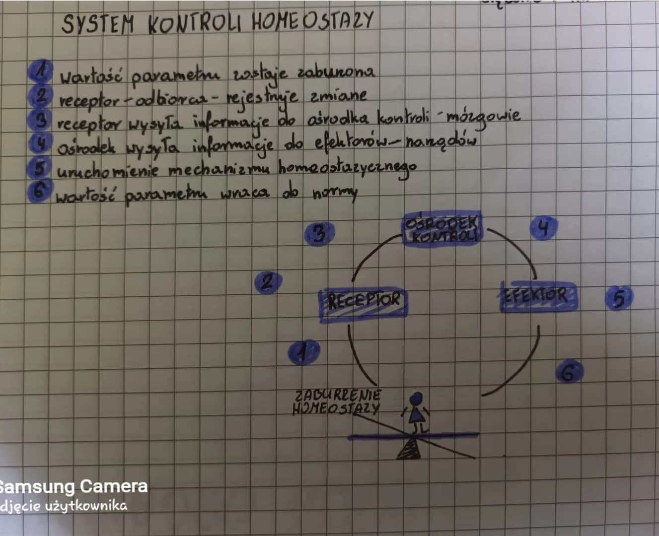 # HIERARCHICZNA BUDOWA ORGANIZMU
Organizm człowieka ma budowę HIERARCHICZNĄ, co oznacza, że składa się z elementów ułożonych według stopnia