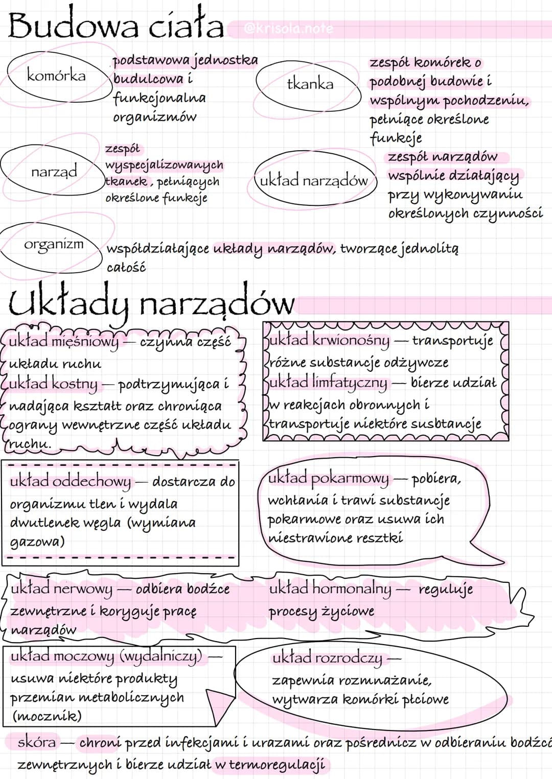 # Budowa ciała @krisola.note
- komórka: podstawowa jednostka budulcowa i funkcjonalna organizmów
- tkanka: zespół komórek o podobnej budowie