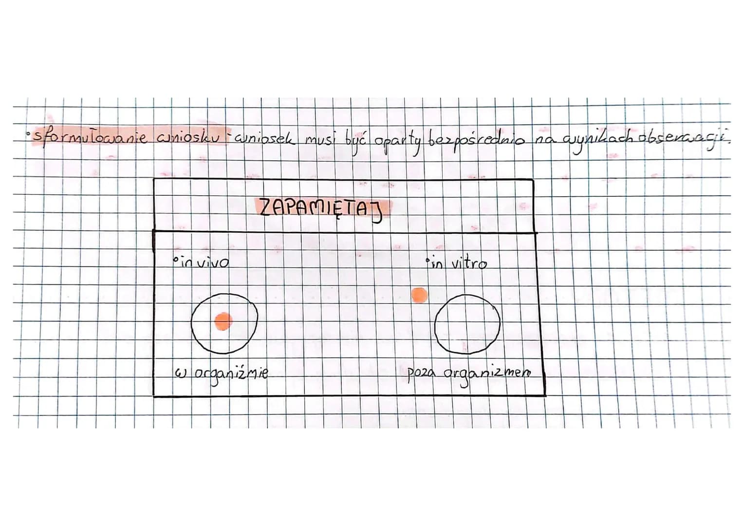 Metodyka Badań Biologicznych – strona 2