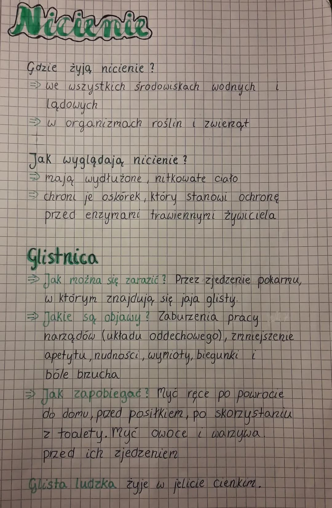 # Nicienie
Gdzie żyją nicienie?
- we wszystkich środowiskach wodnych i lądowych
- w organizmach roślin i zwierząt
Jak wyglądają nicienie?
